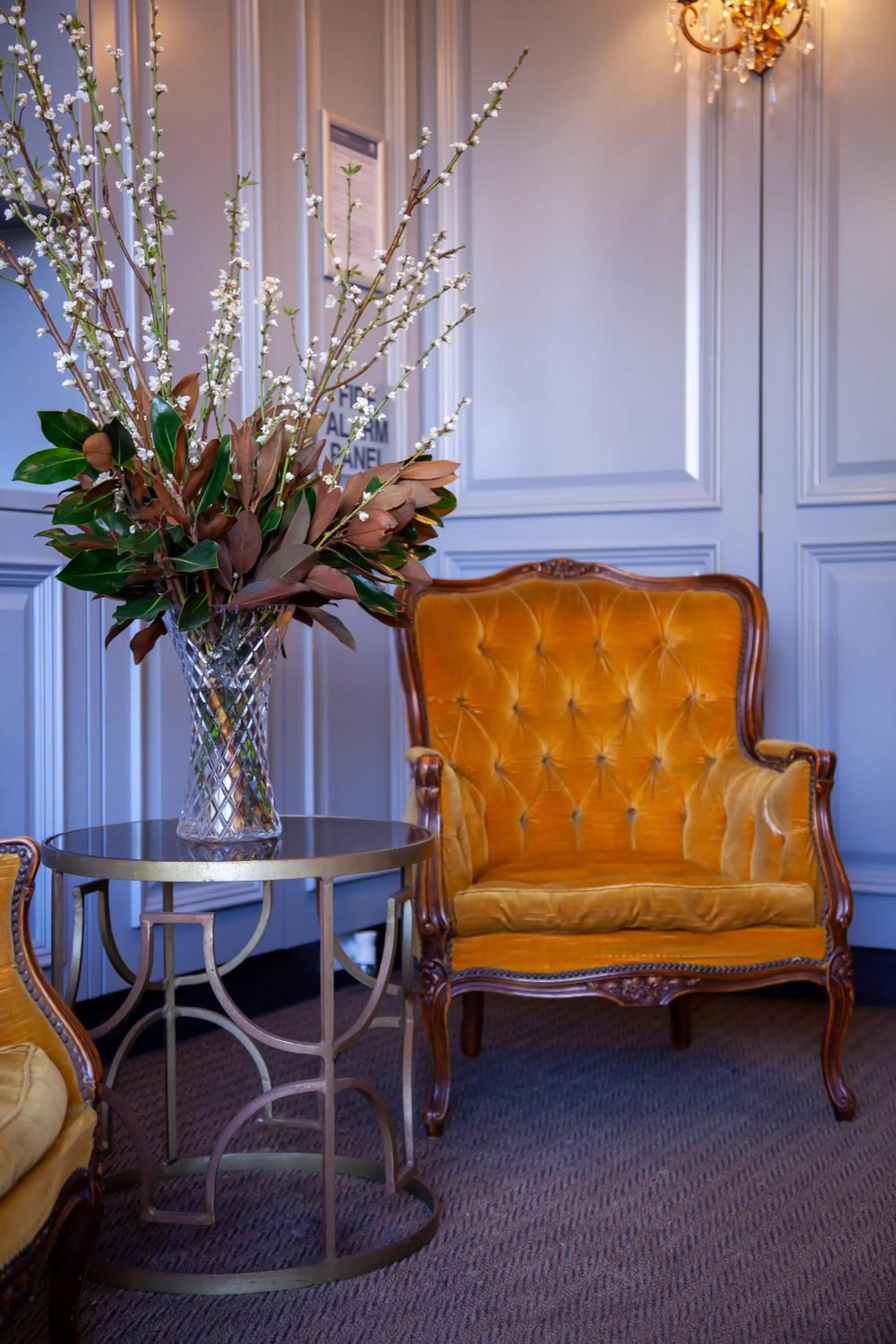 Bayswater Boutique Lodge - Potts Point