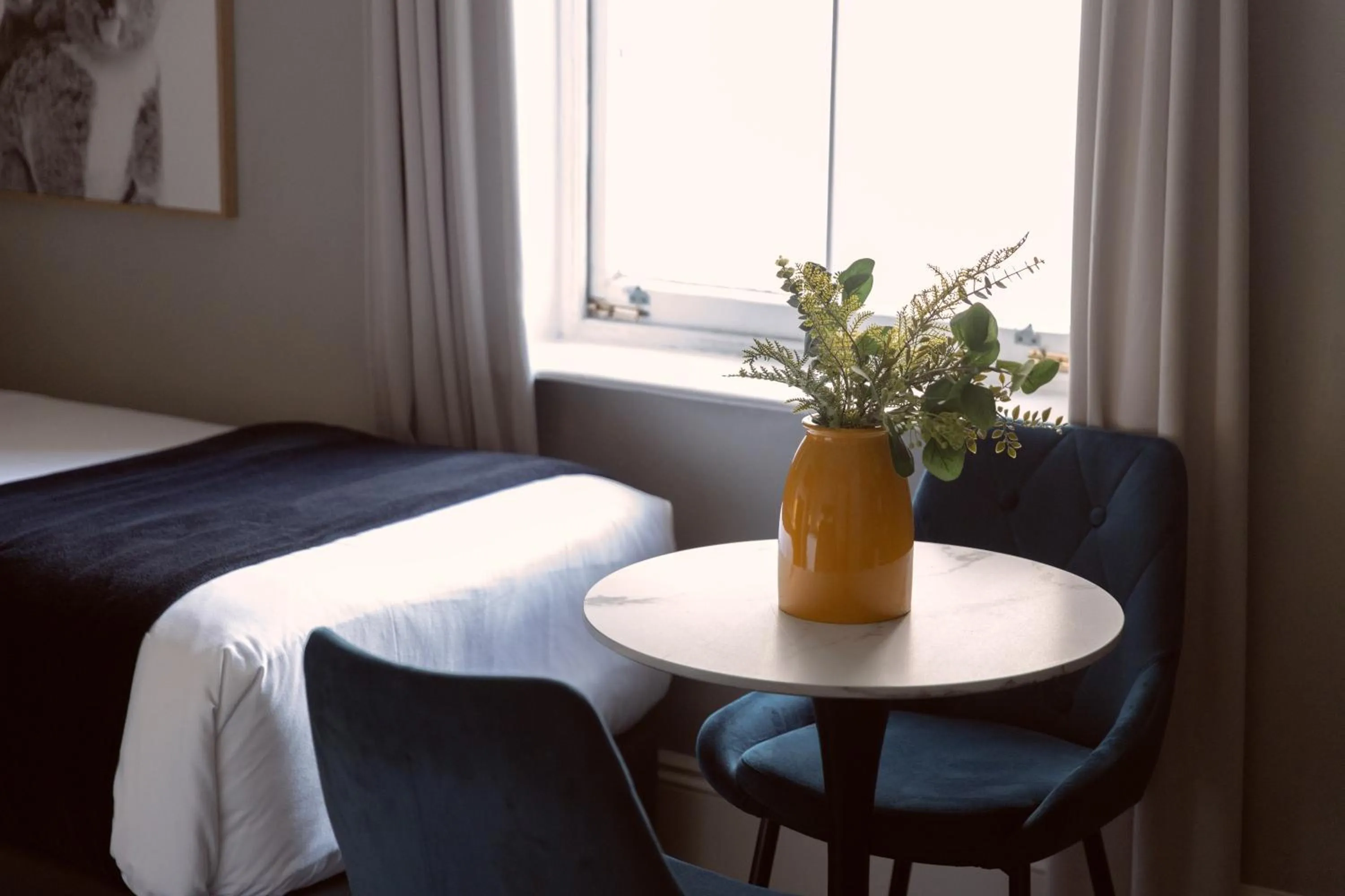 Bed in Bayswater Boutique Lodge - Potts Point