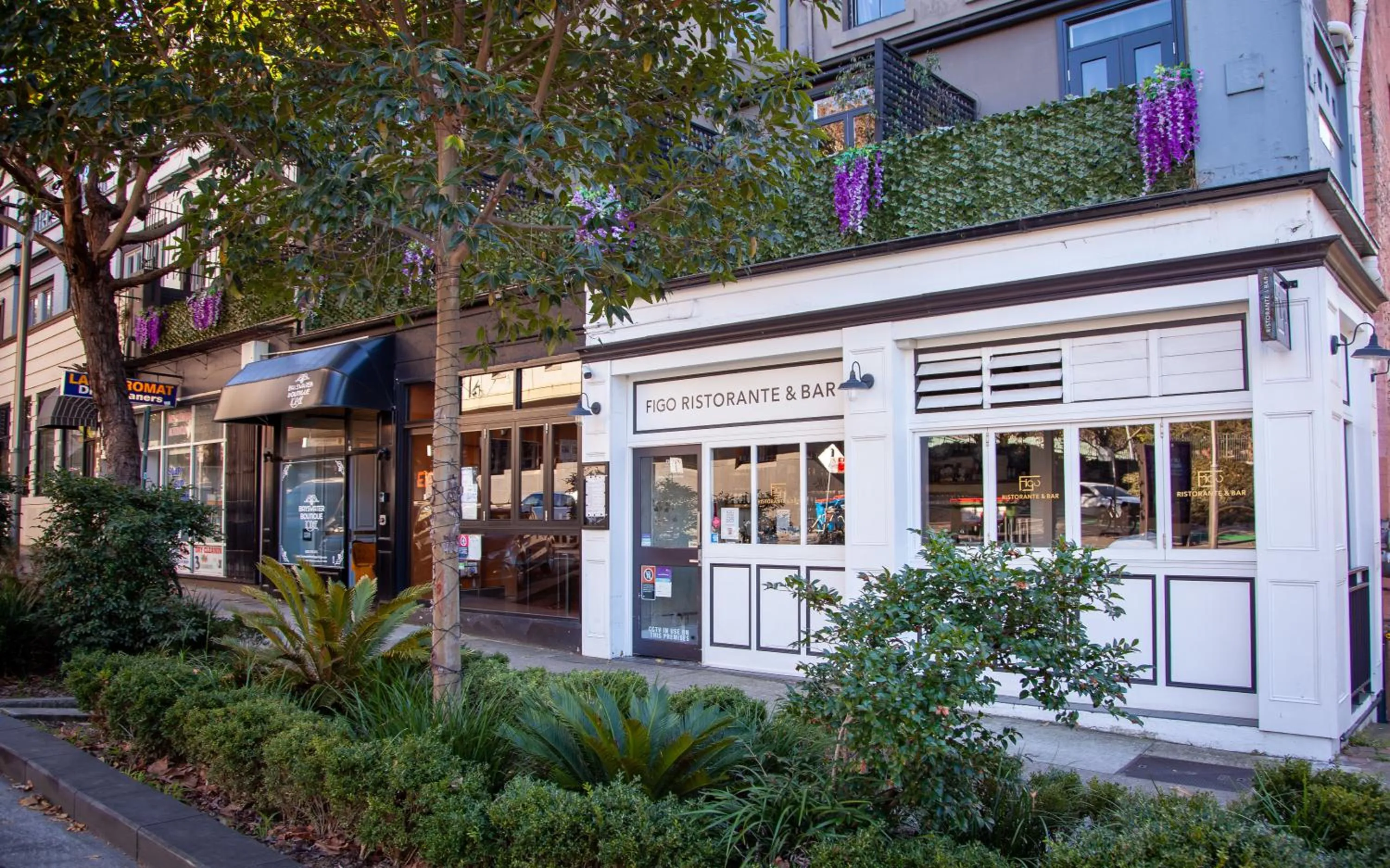 Bayswater Boutique Lodge - Potts Point