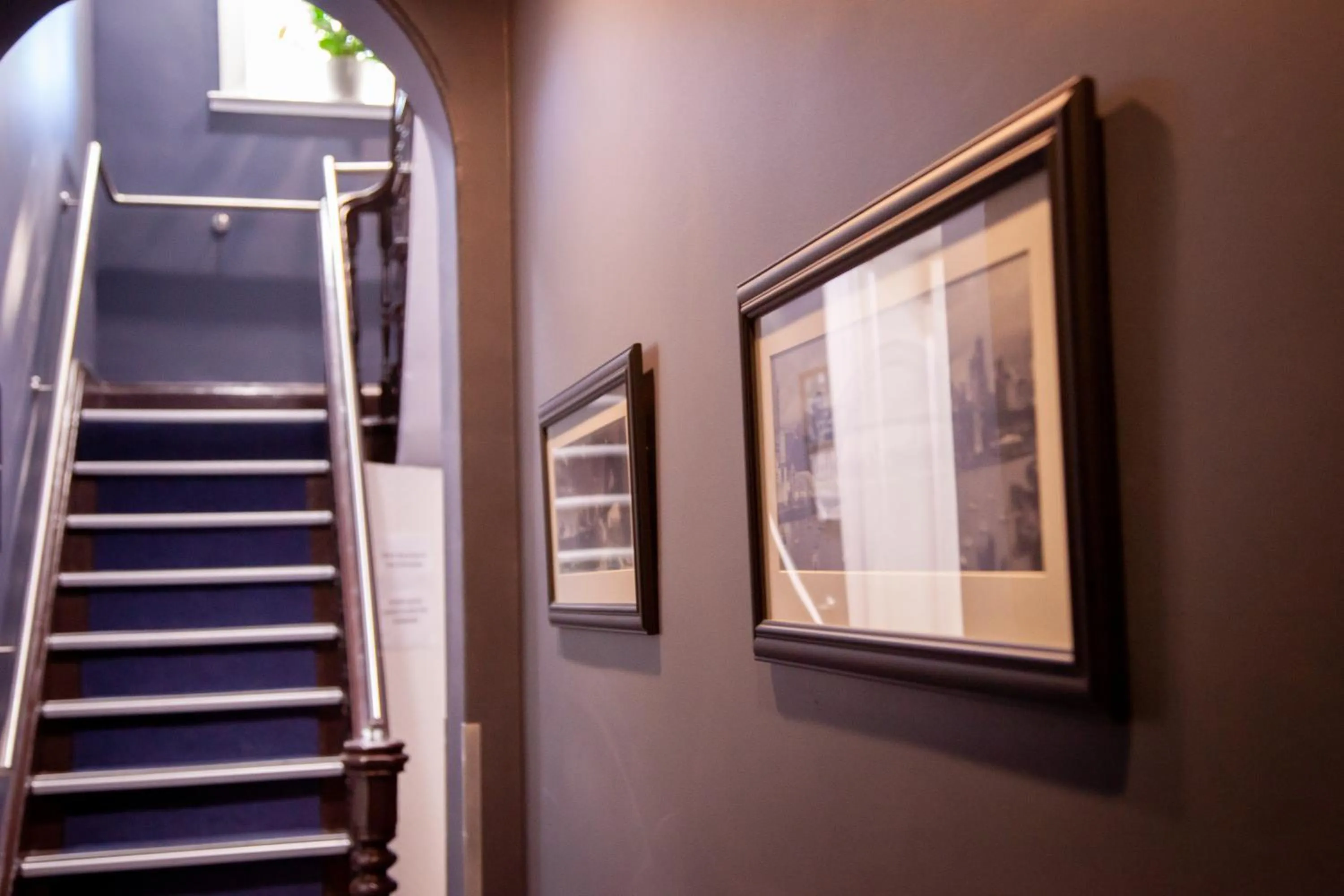 Bayswater Boutique Lodge - Potts Point