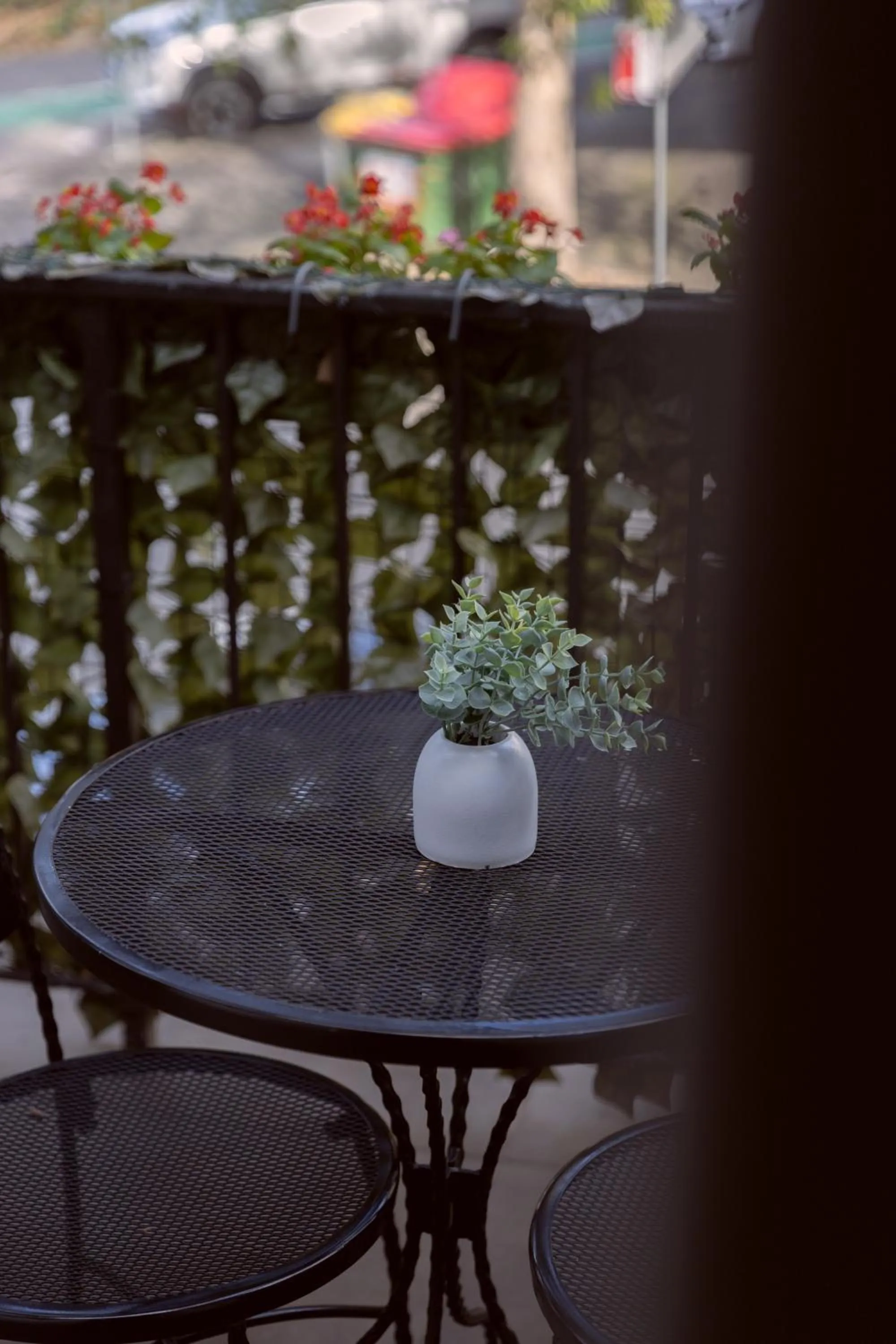 Bayswater Boutique Lodge - Potts Point