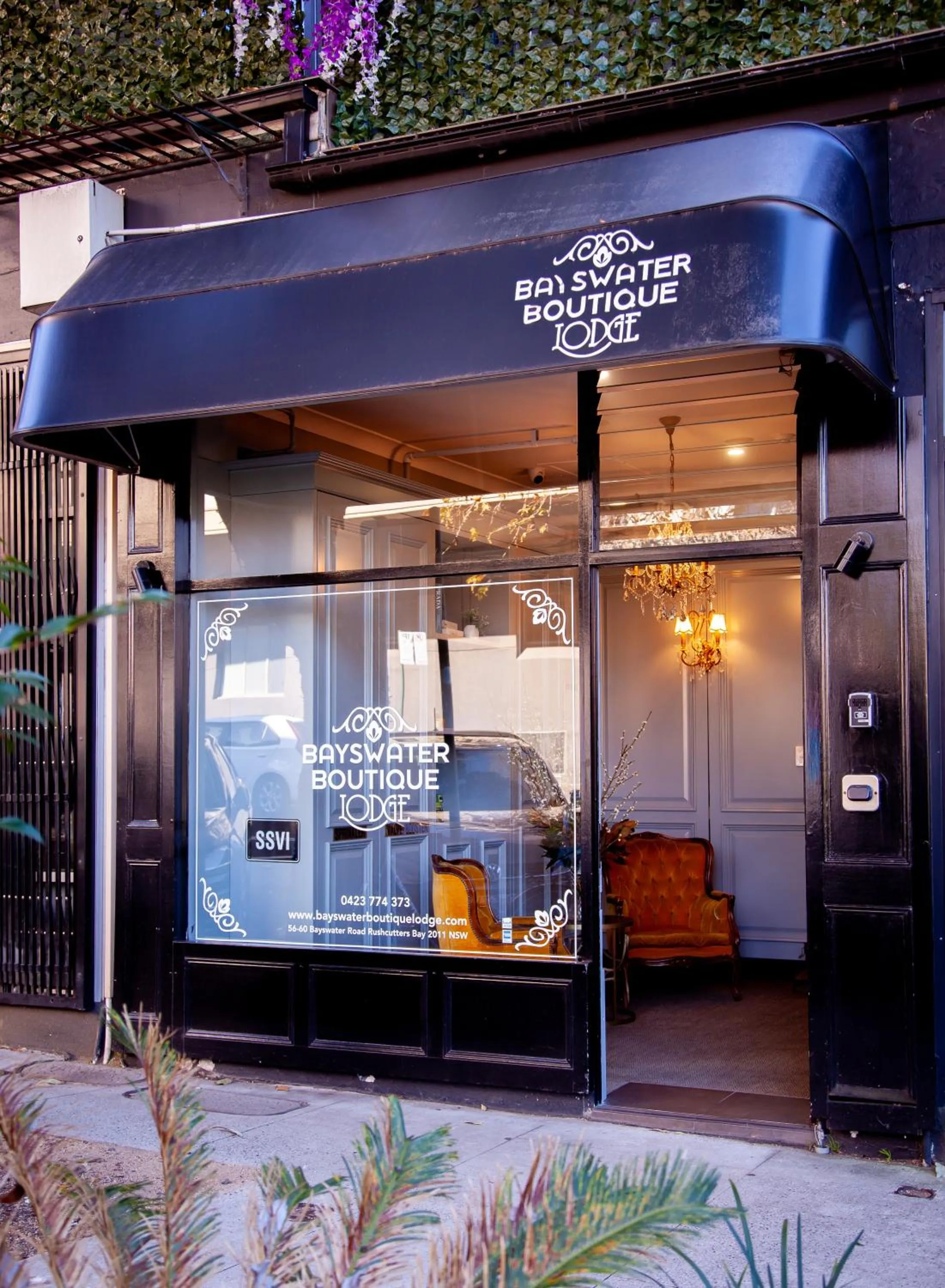 Bayswater Boutique Lodge - Potts Point