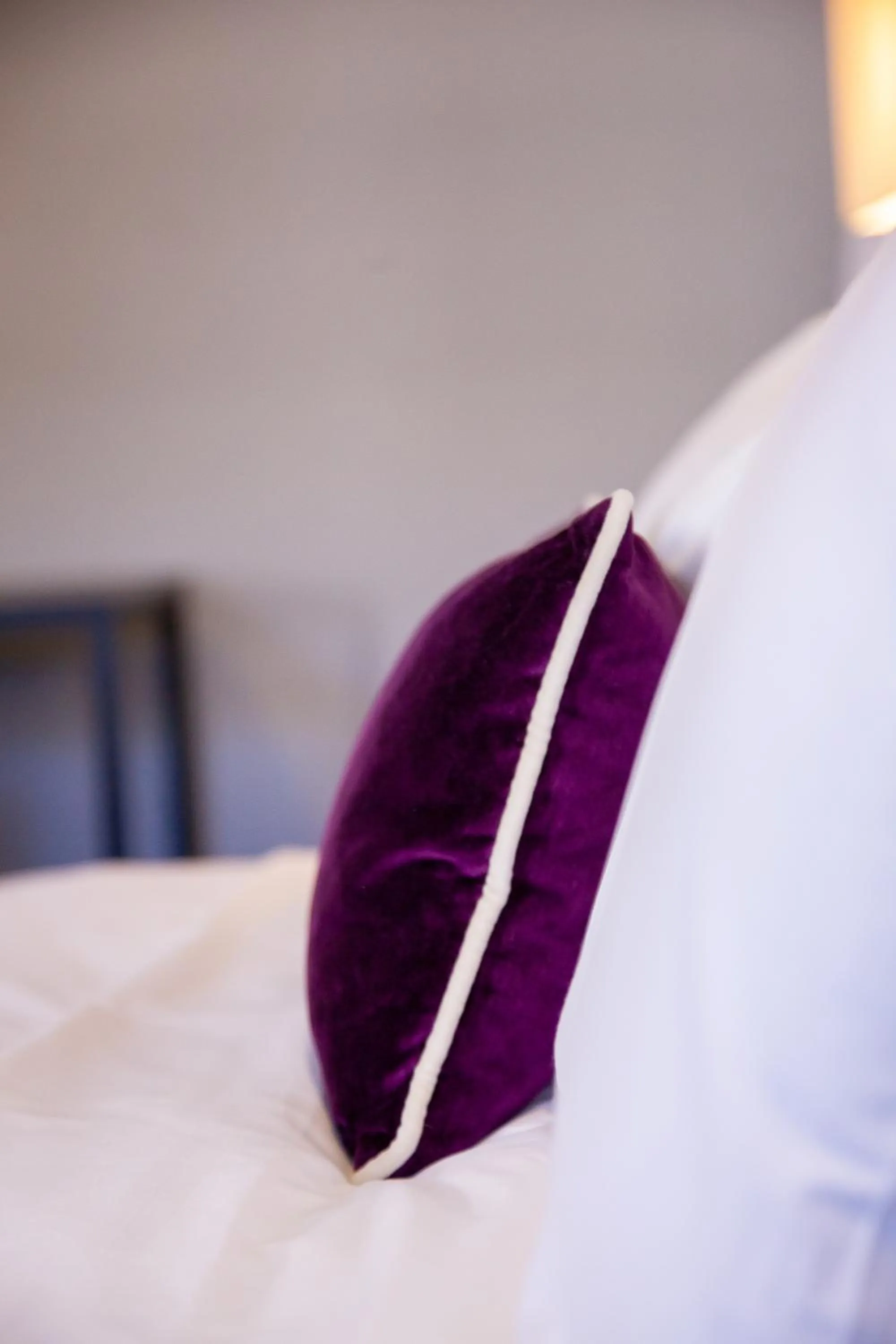 Bed in Bayswater Boutique Lodge - Potts Point