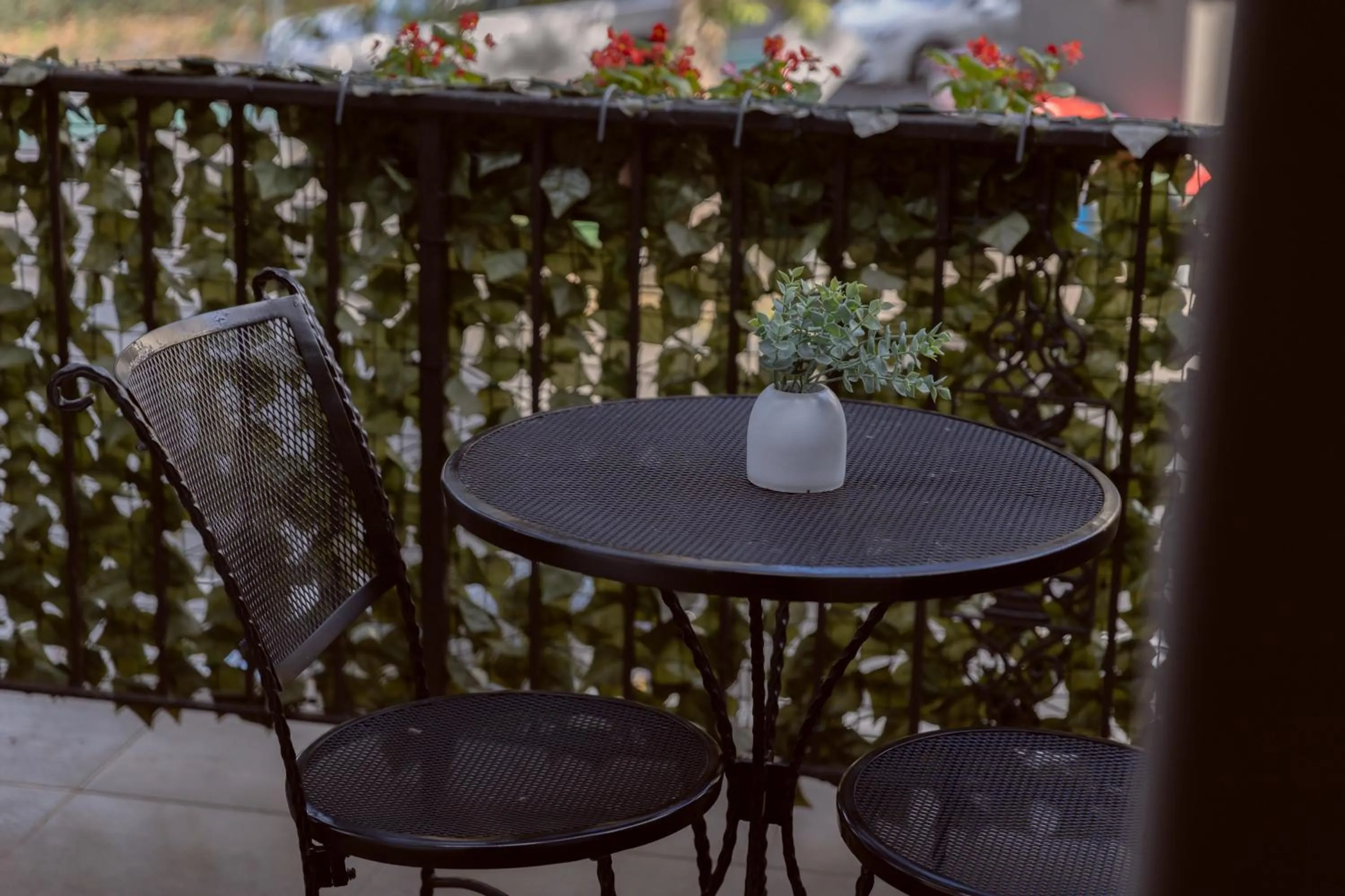 Bayswater Boutique Lodge - Potts Point