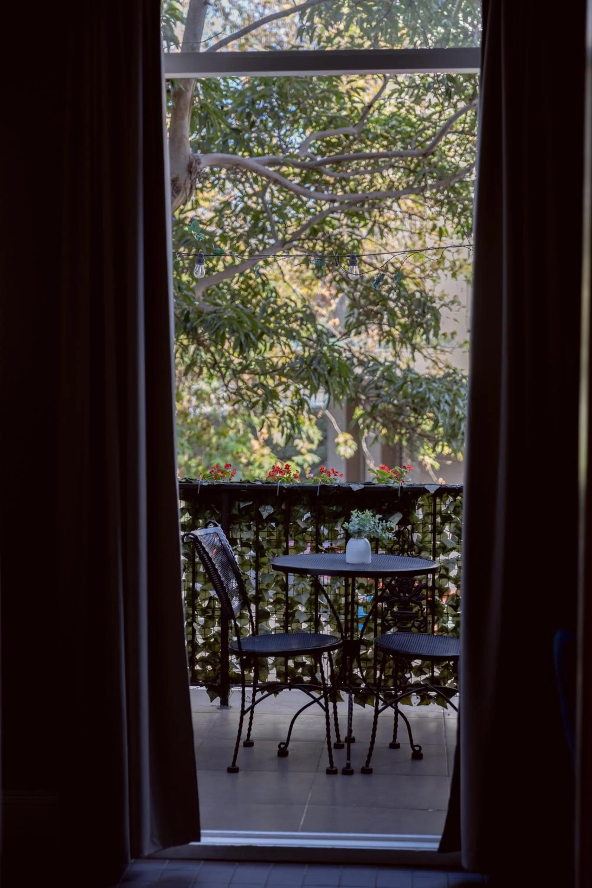 Bayswater Boutique Lodge - Potts Point