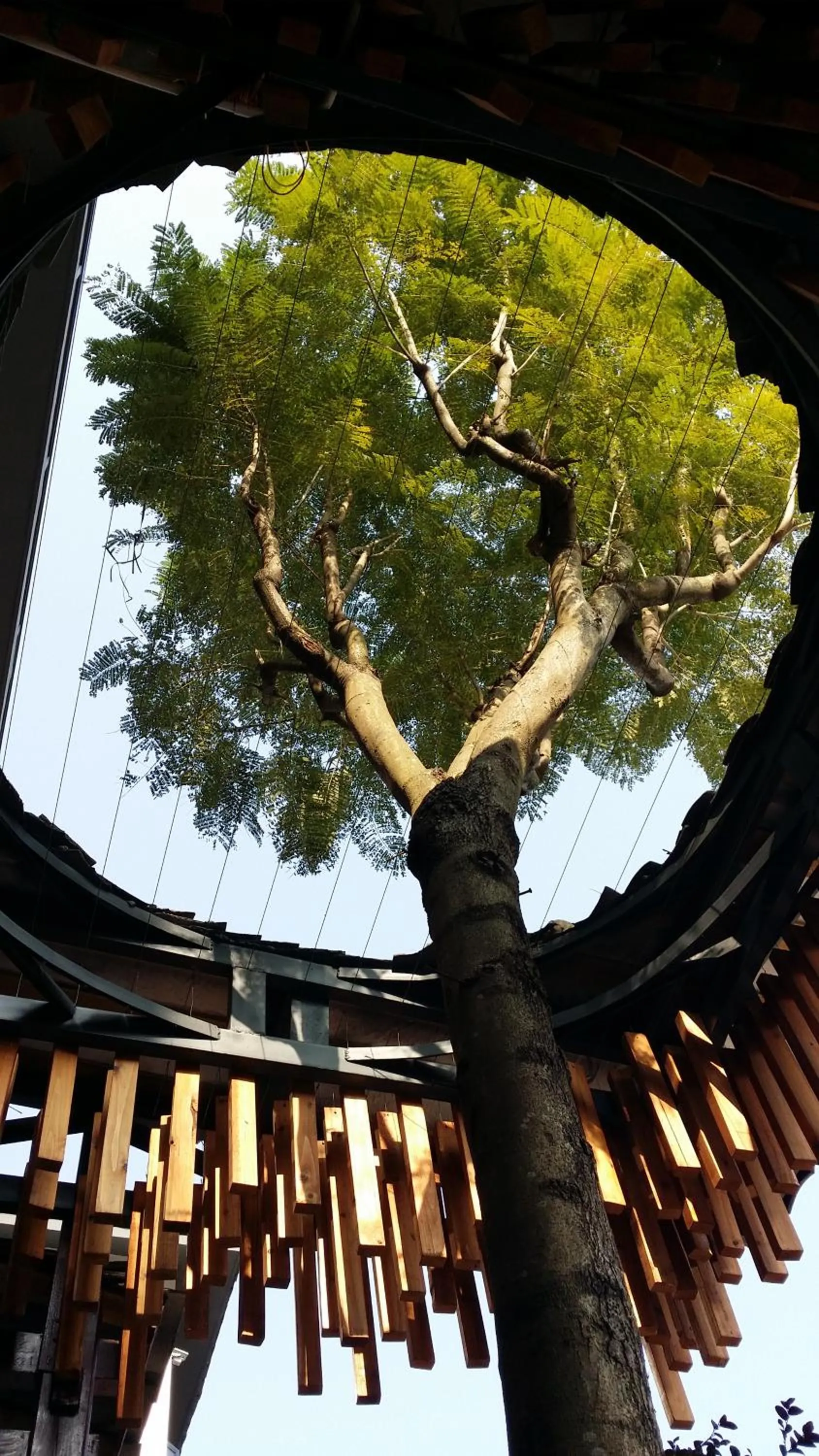 Garden in Li River Resort