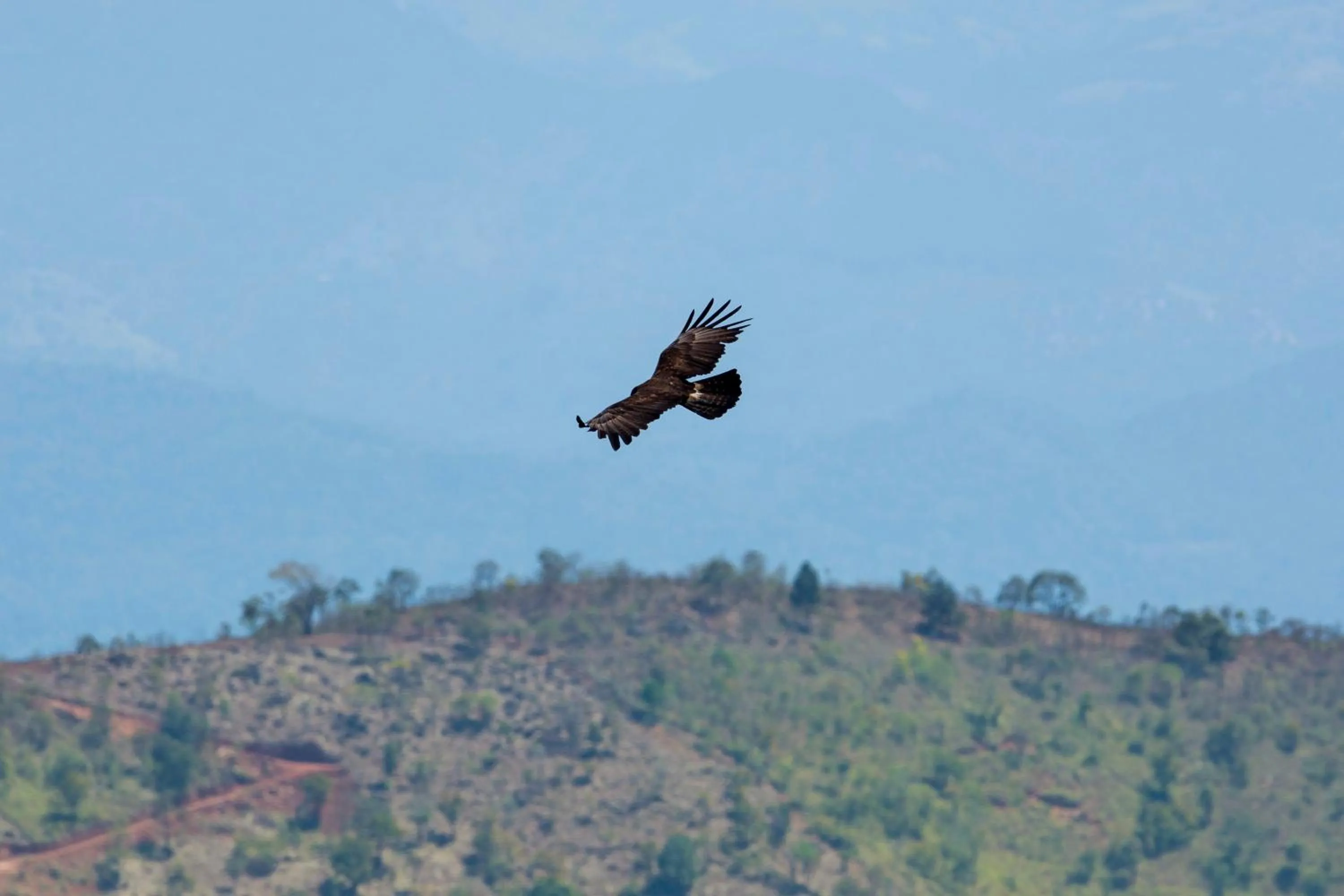 Natural landscape in W15 Hanthana Estate Kandy