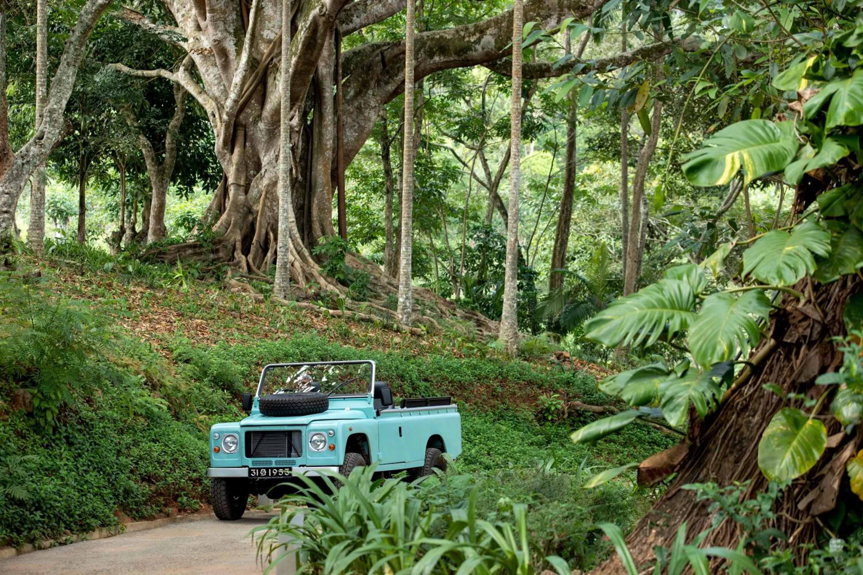 Activities in W15 Hanthana Estate Kandy