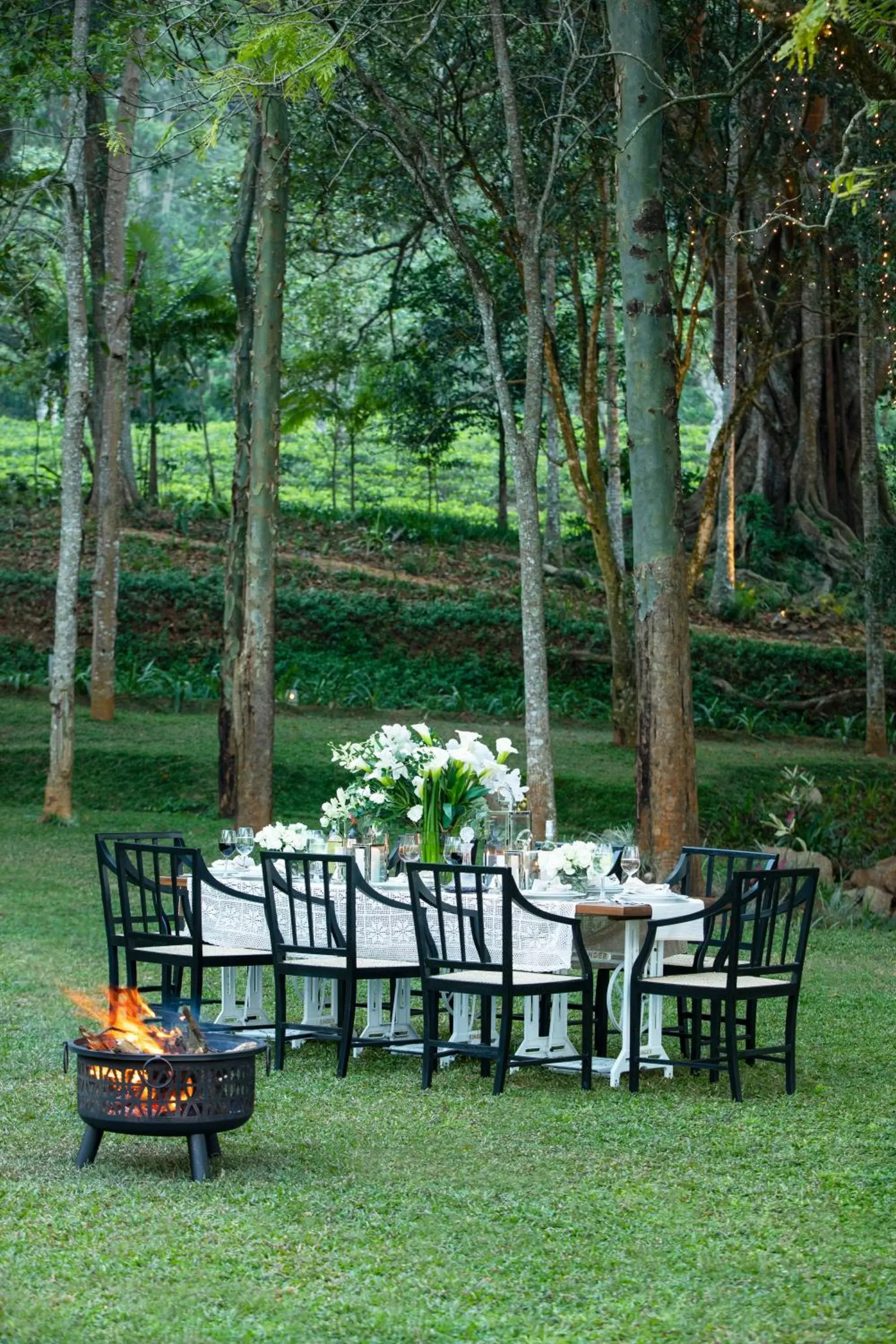 Restaurant/places to eat in W15 Hanthana Estate Kandy Restaurant/places to eat in W15 Hanthana Estate Kandy