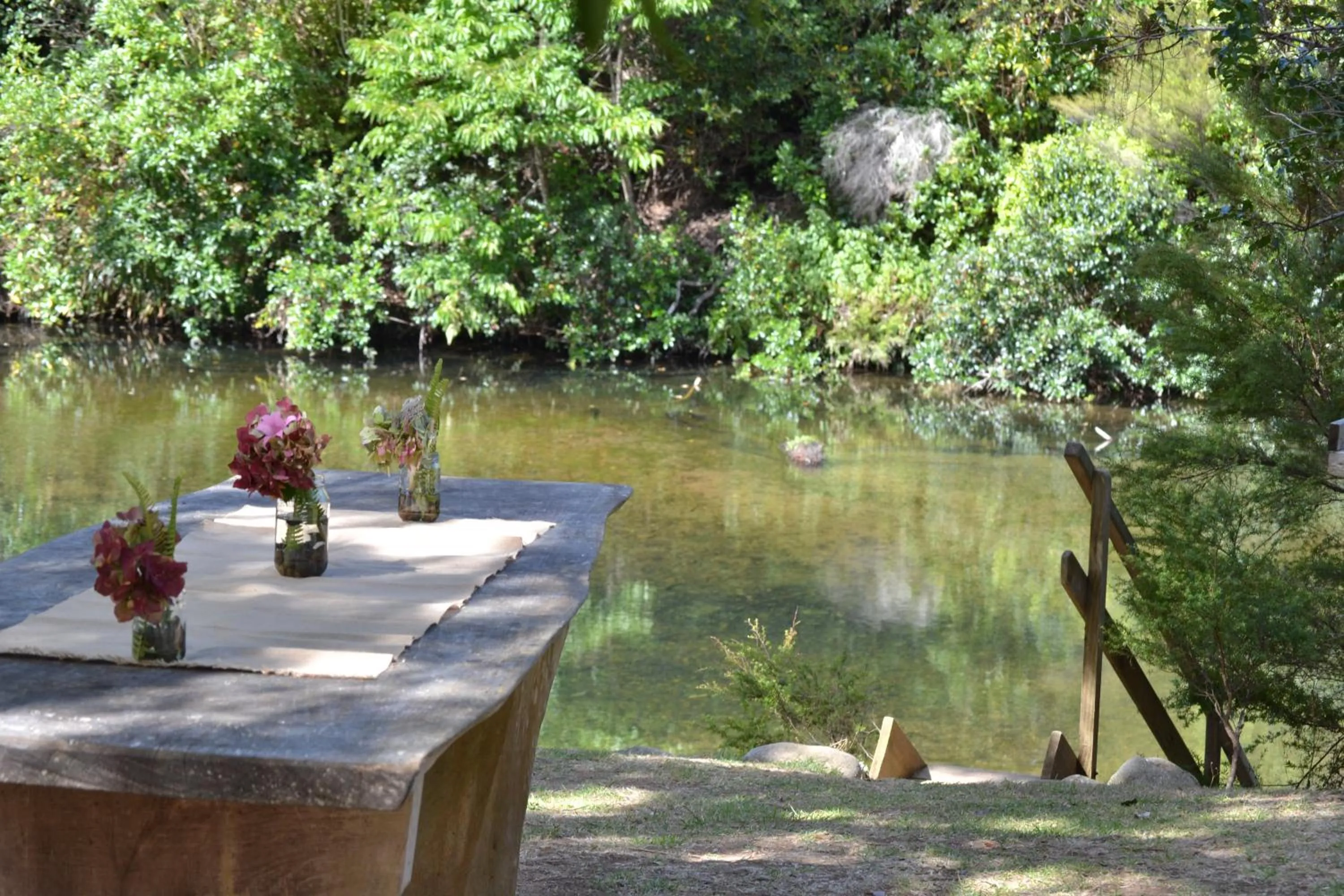 River view in Te Mata Lodge