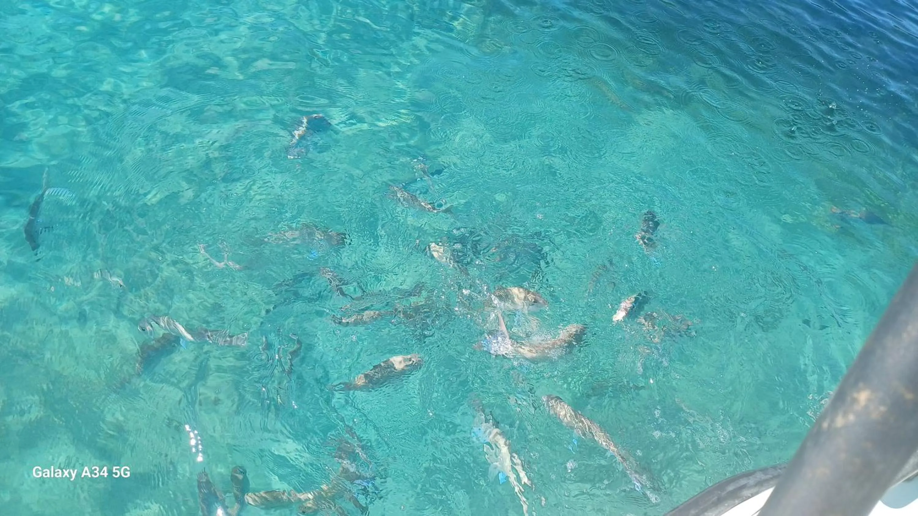 Fishing in Te Mata Lodge