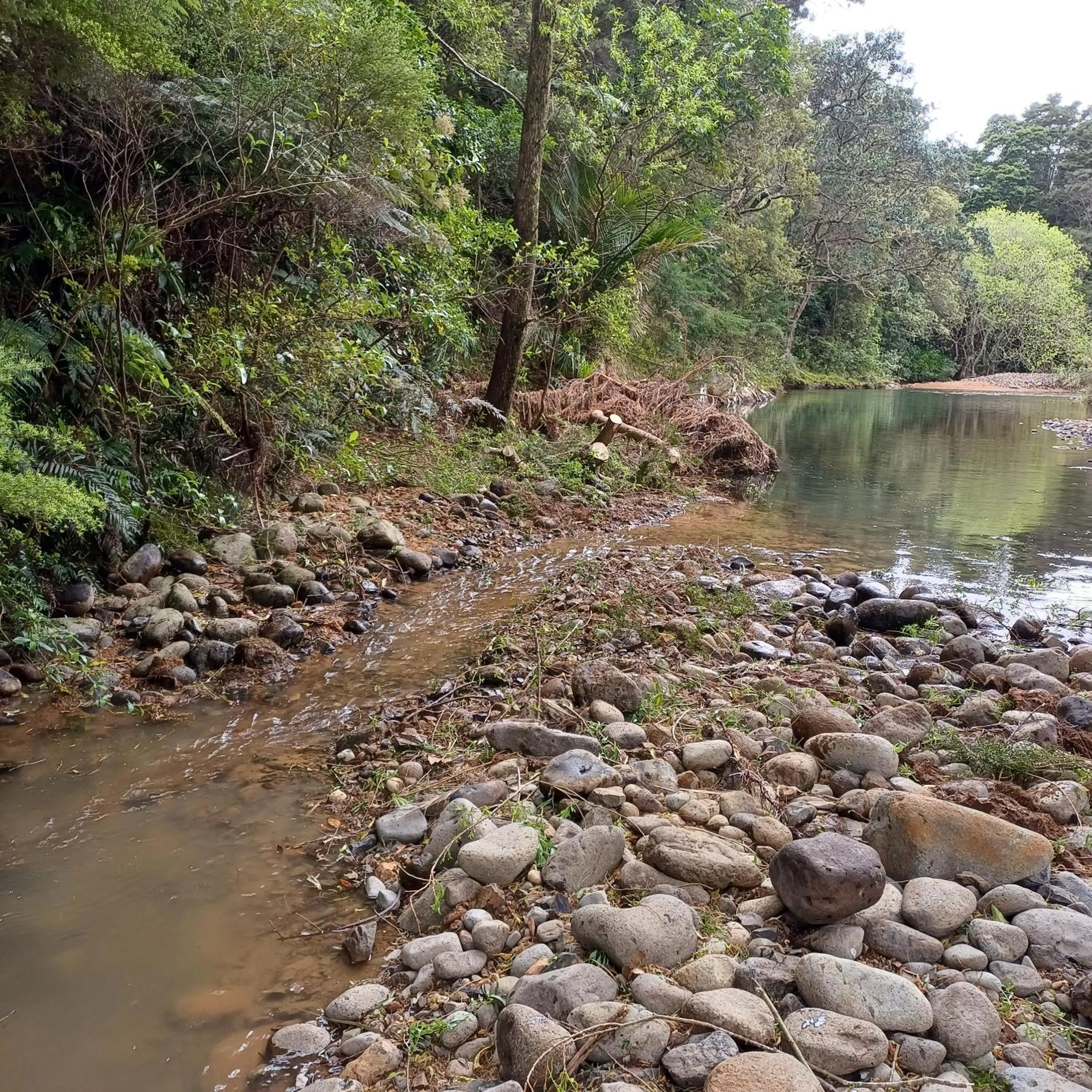 Natural landscape in Te Mata Lodge
