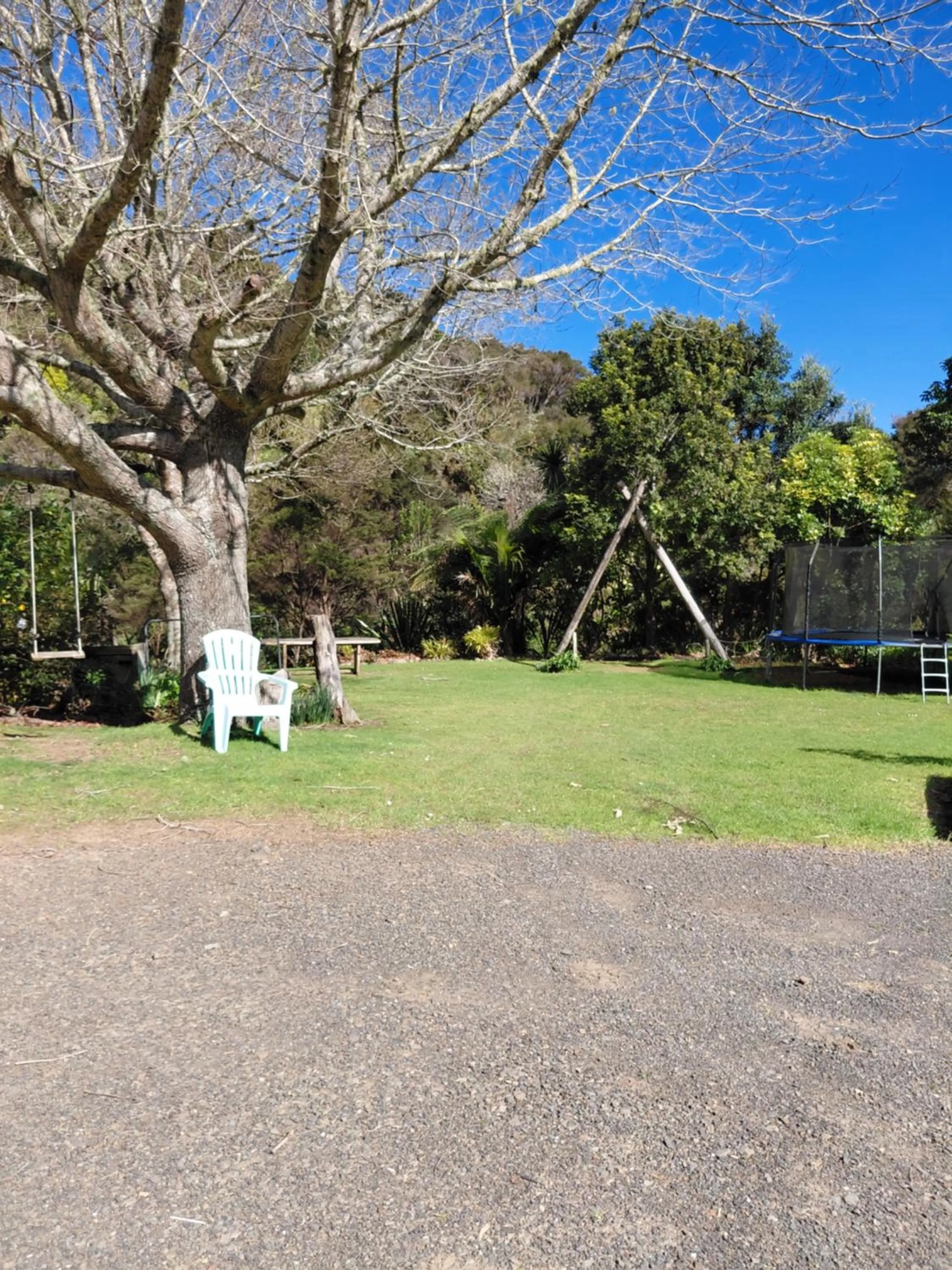 Garden view in Te Mata Lodge