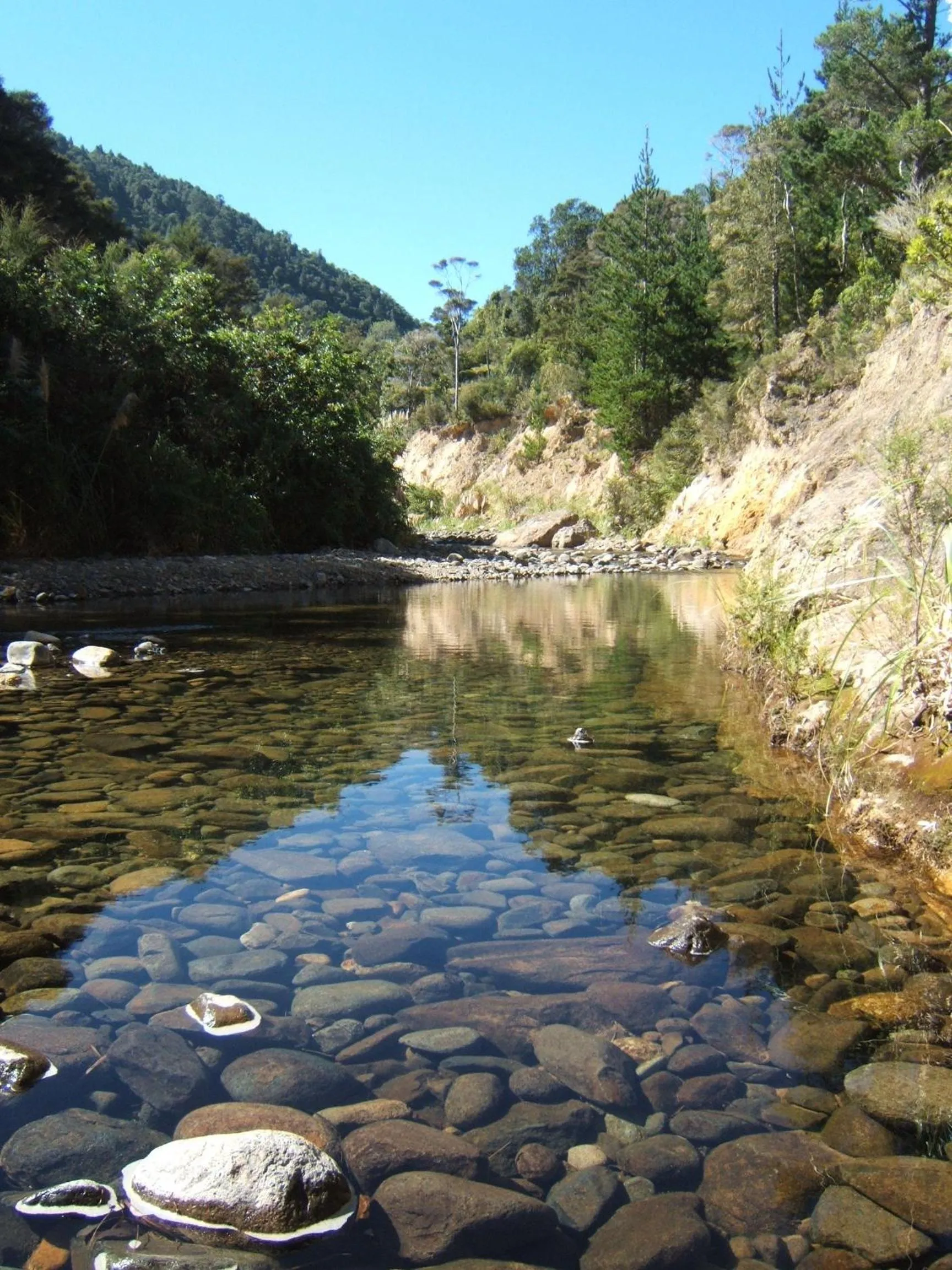 Natural landscape in Te Mata Lodge