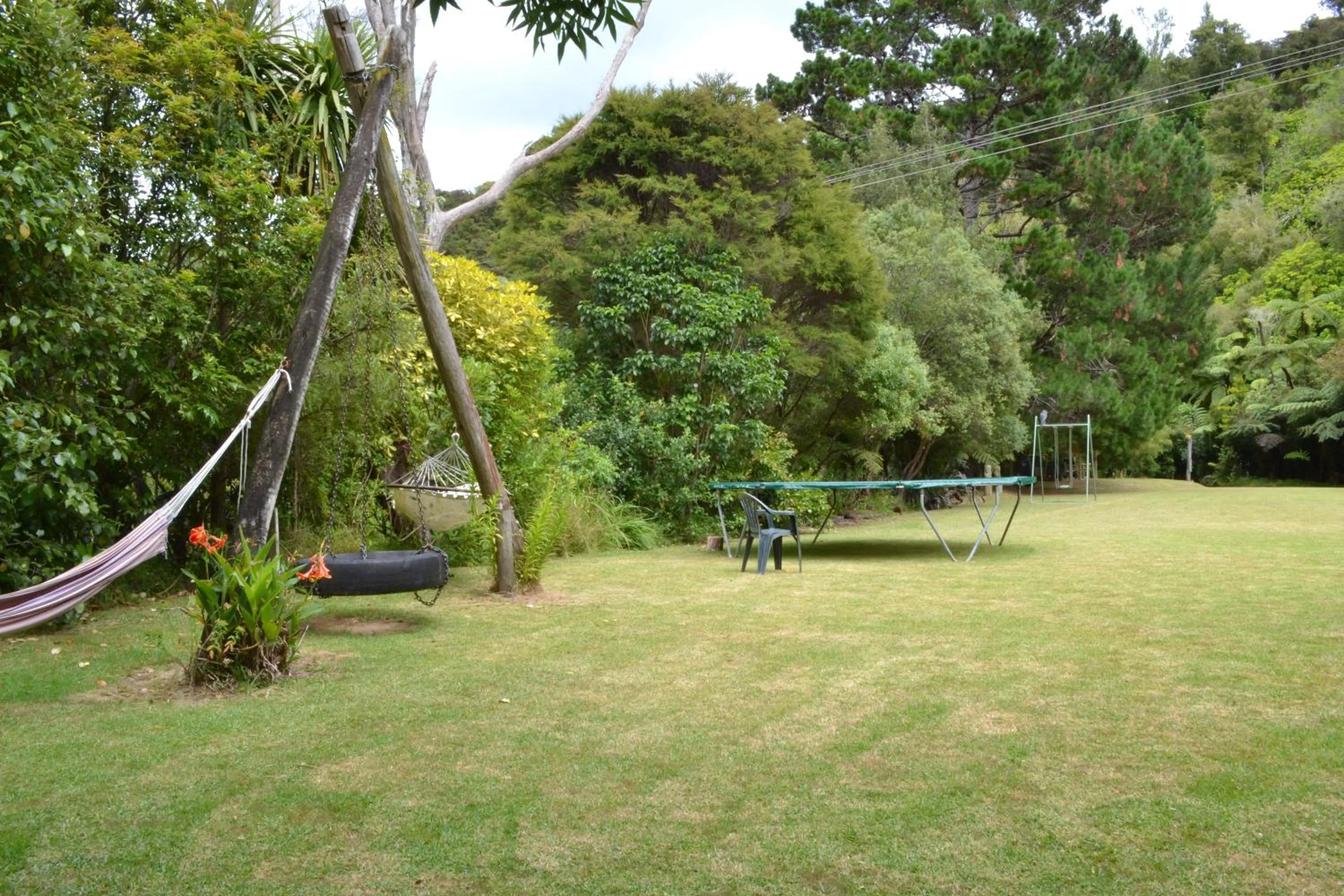 Garden in Te Mata Lodge