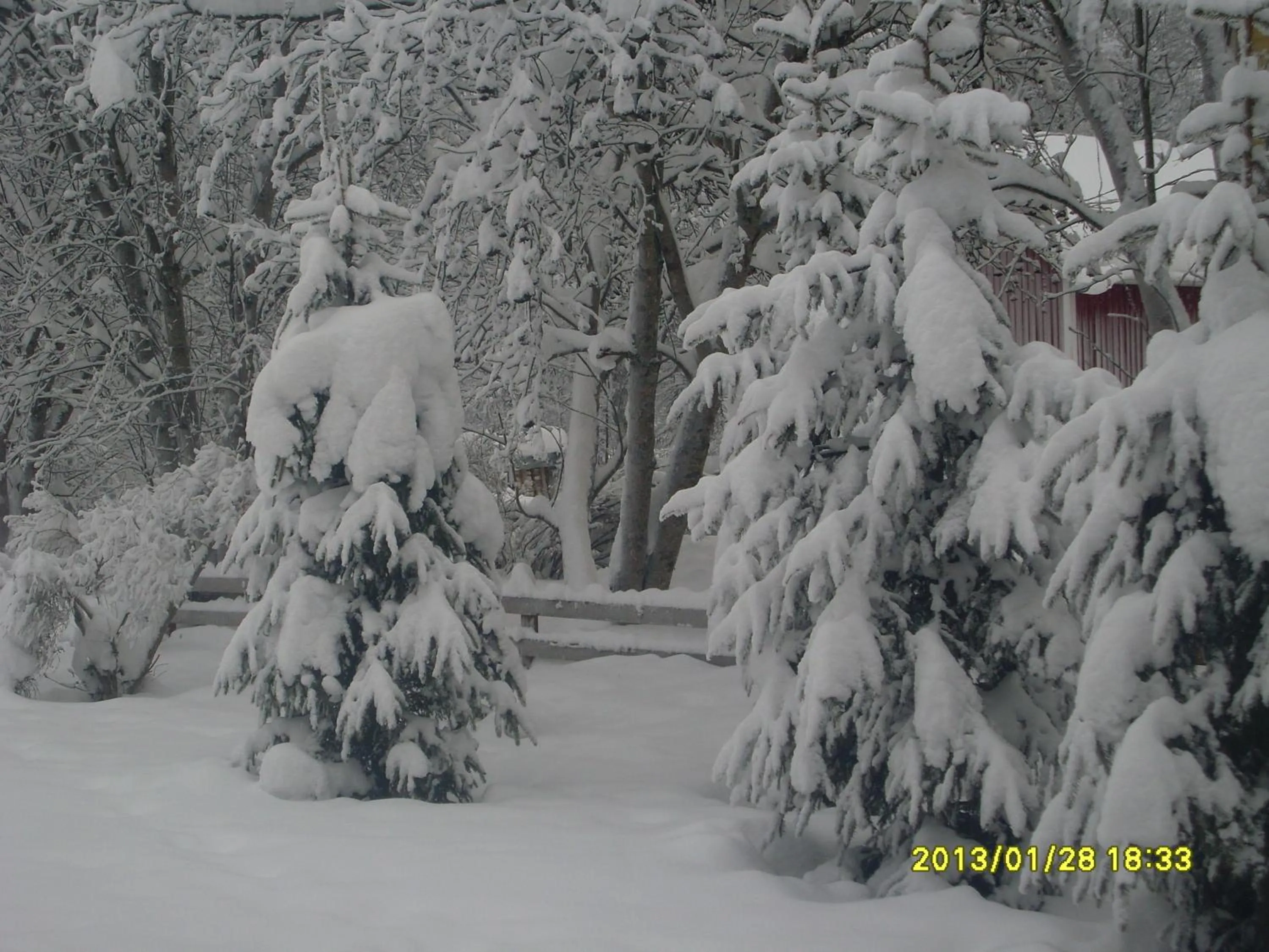 Natural landscape in Aaria Bed and Breakfast