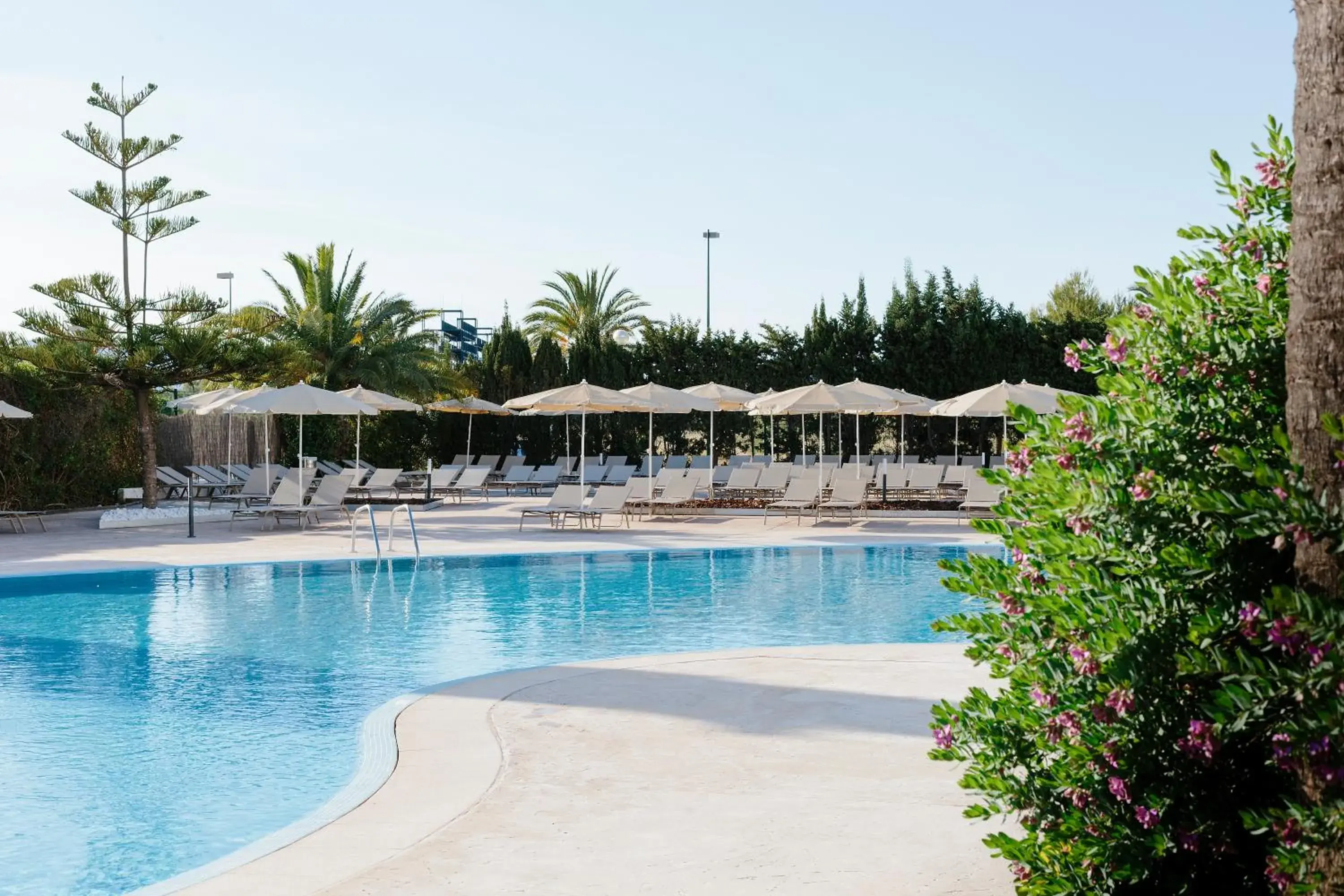 Pool view in Bordoy Alcudia Bay - Adults Only Pool view in Bordoy Alcudia Bay - Adults Only