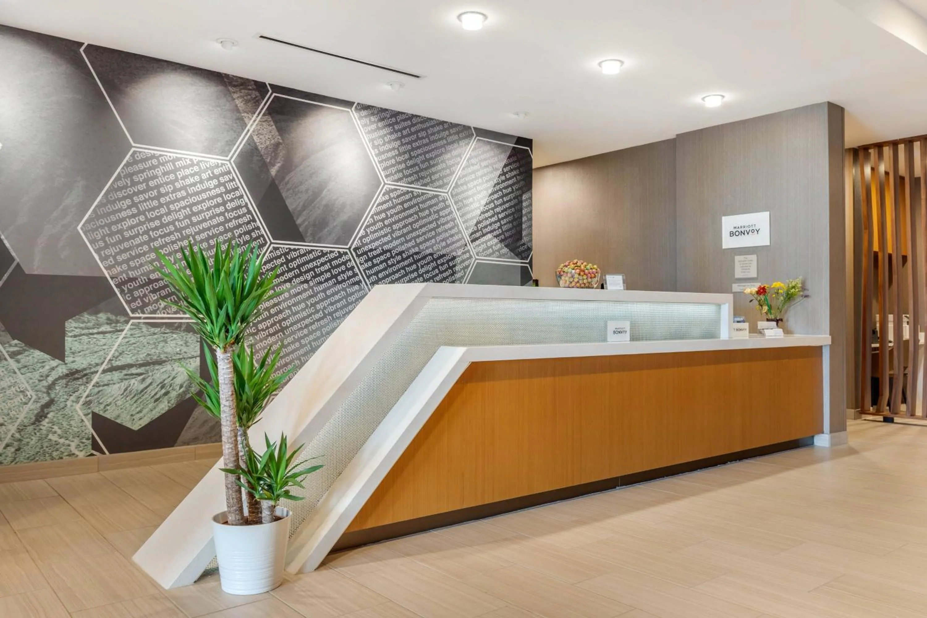 Lobby or reception in SpringHill Suites Charlotte Southwest