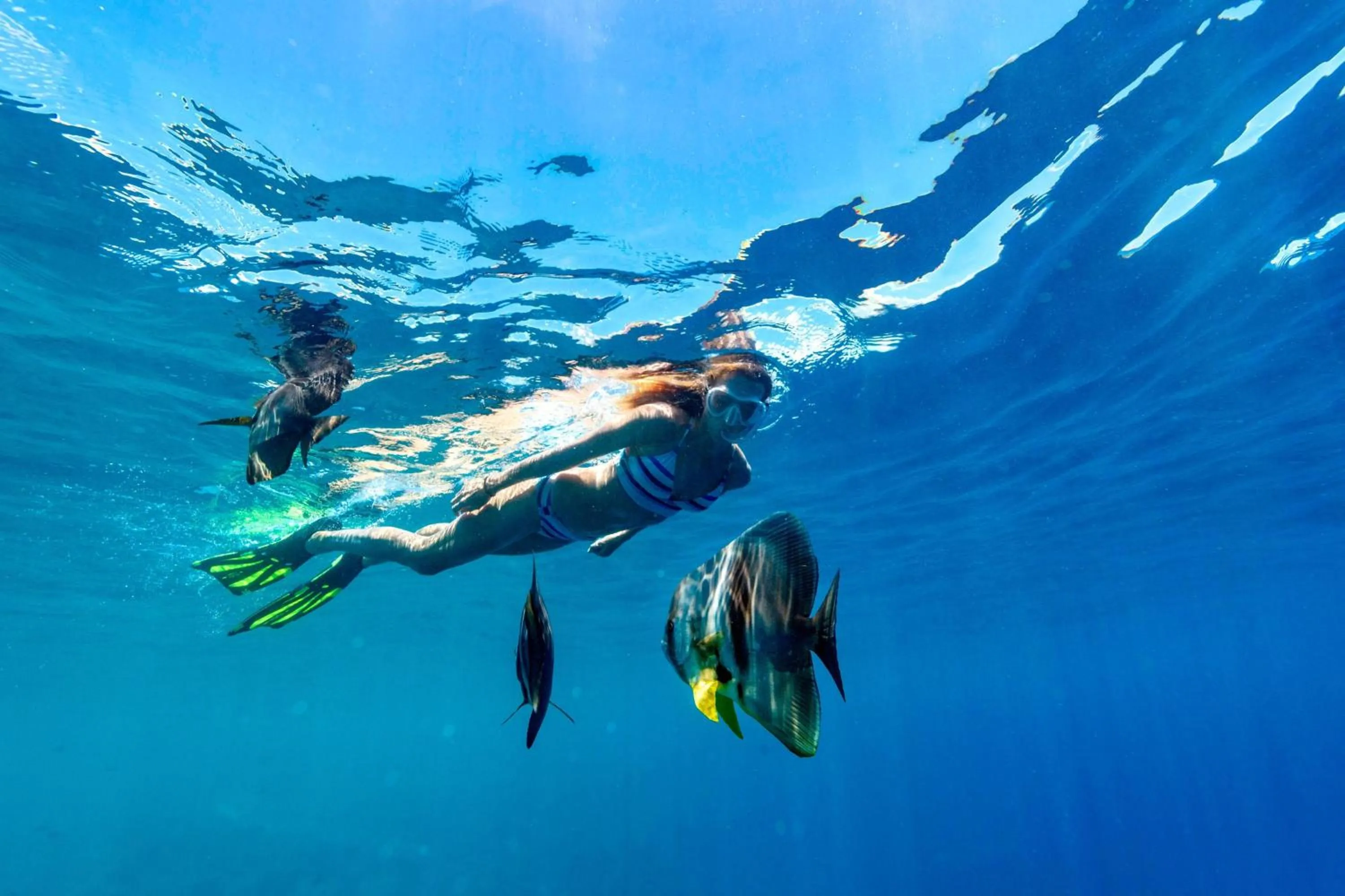 Other in Sheraton Maldives Full Moon Resort & Spa