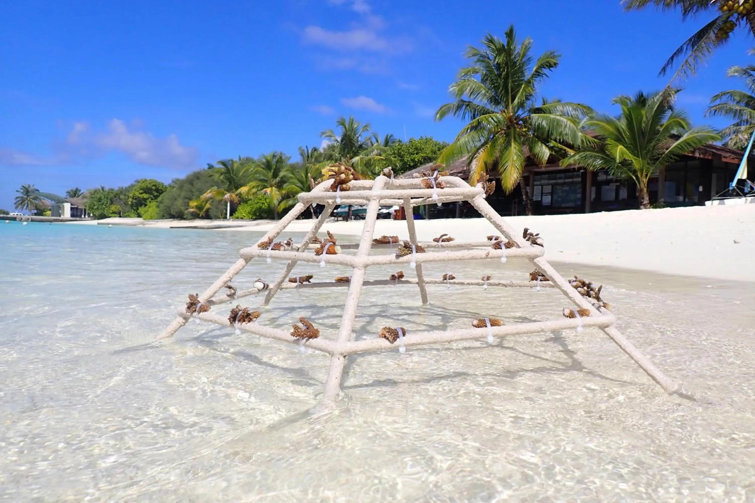 Other in Sheraton Maldives Full Moon Resort & Spa