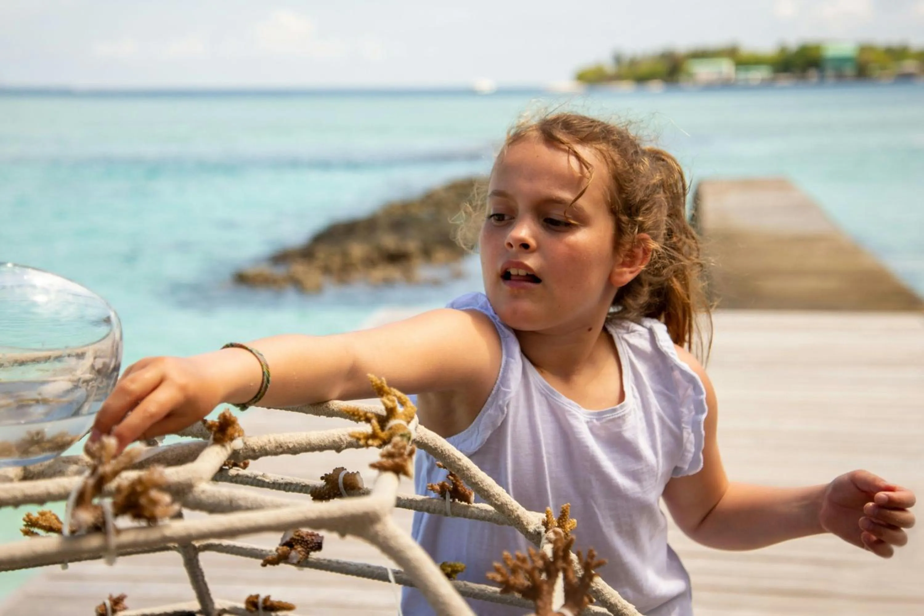 Other in Sheraton Maldives Full Moon Resort & Spa
