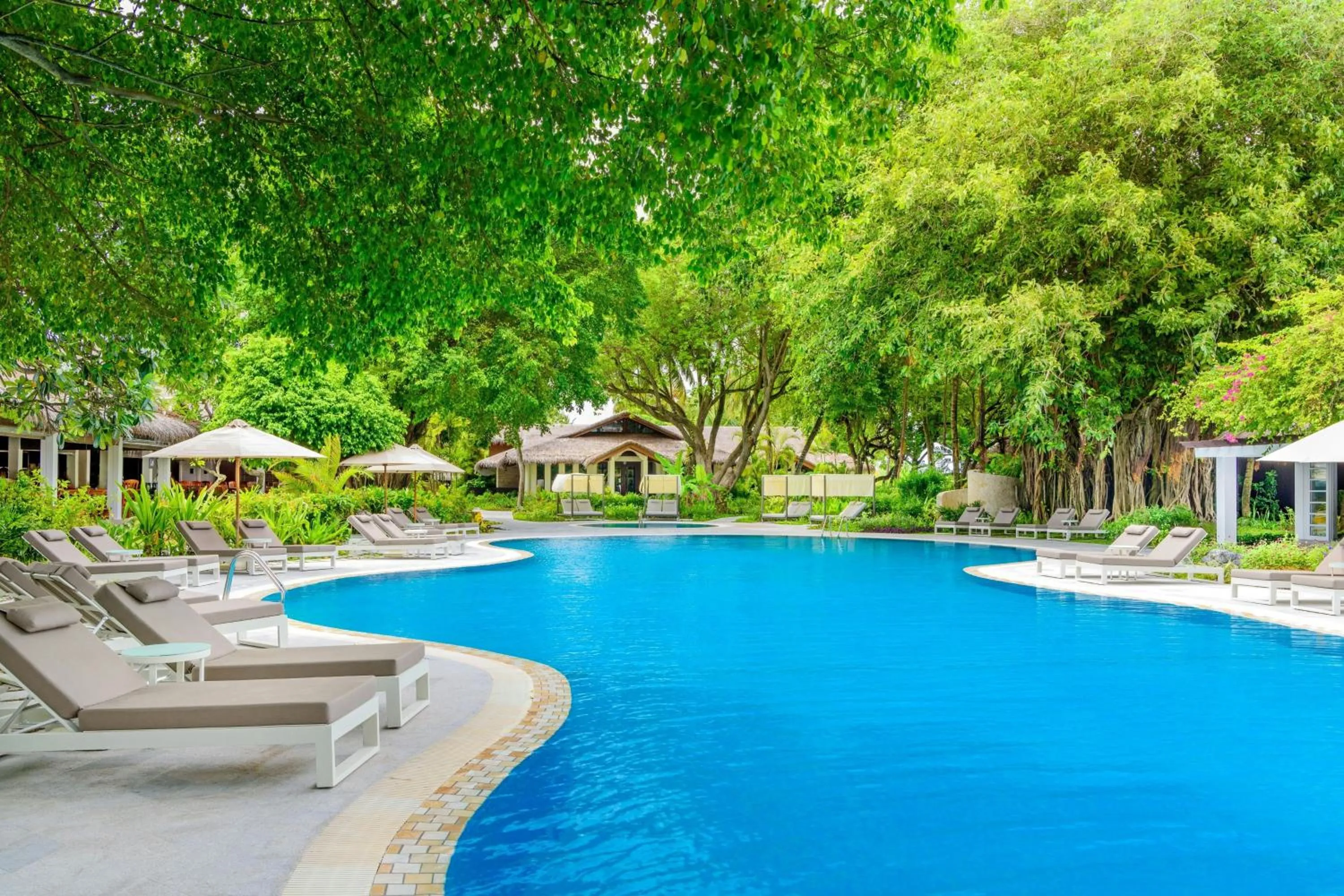 Swimming pool in Sheraton Maldives Full Moon Resort & Spa