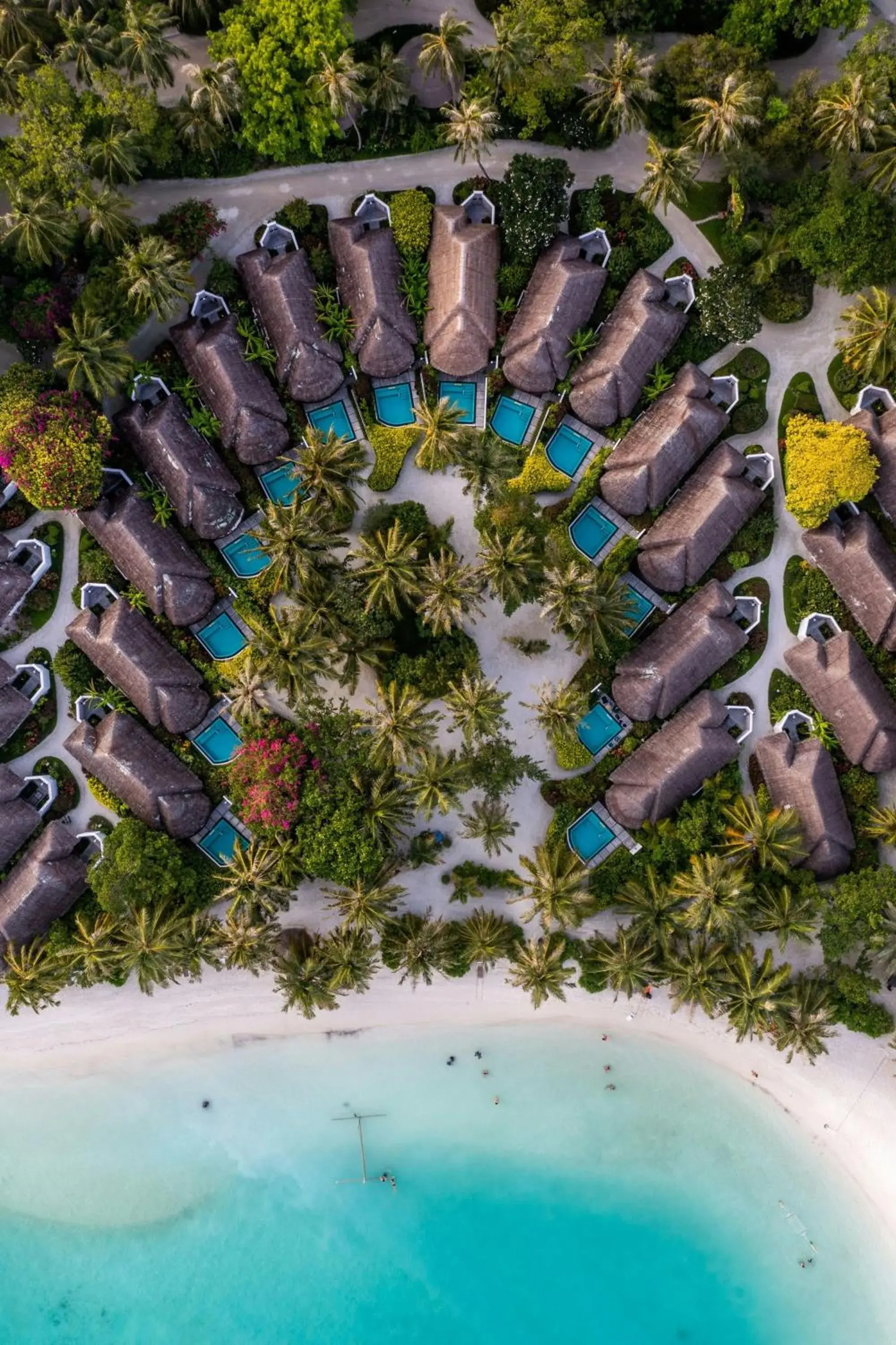 King Cottage with Plunge Pool and Island View in Sheraton Maldives Full Moon Resort & Spa King Cottage with Plunge Pool and Island View in Sheraton Maldives Full Moon Resort & Spa