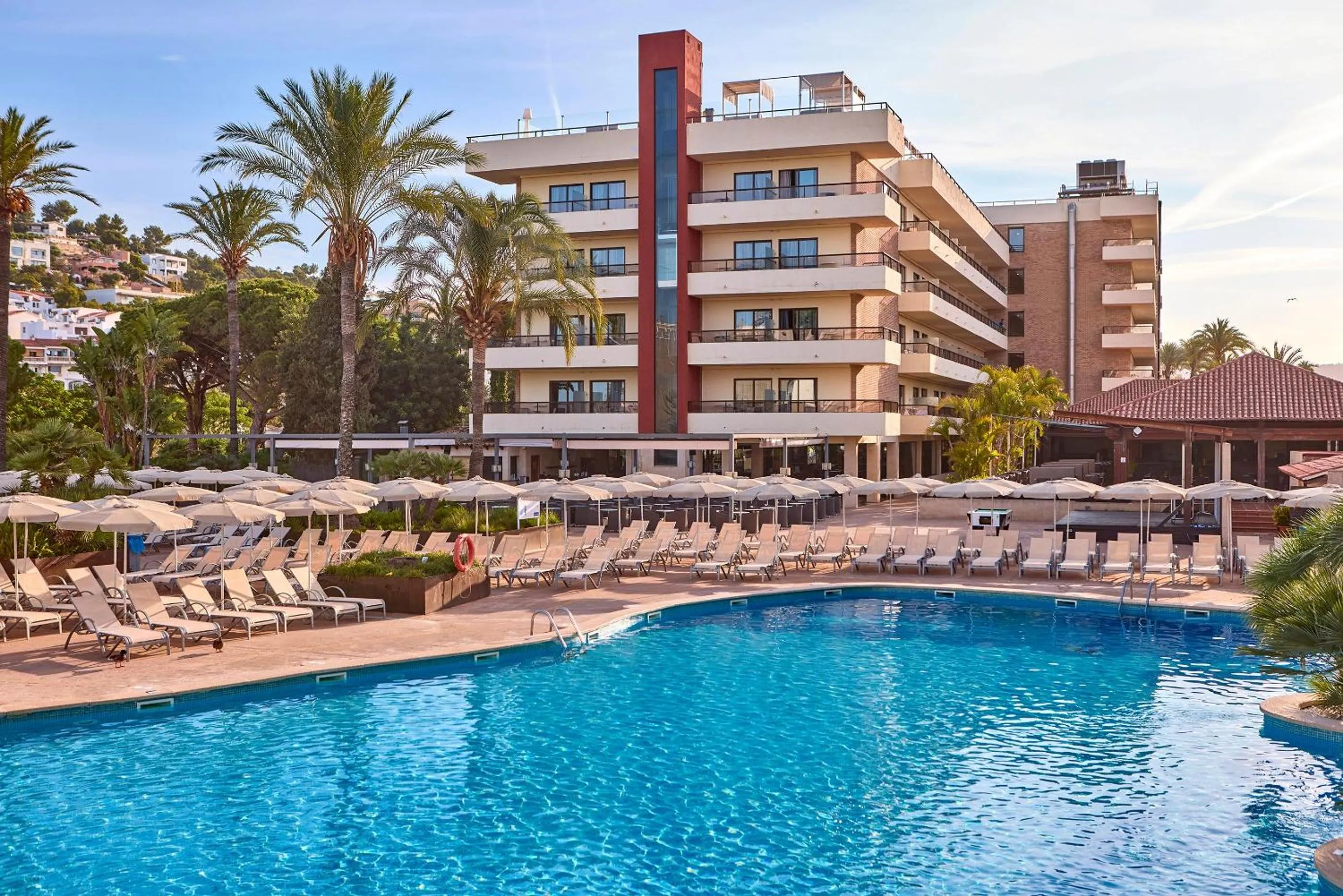 Swimming pool in Zafiro Rey Don Jaime