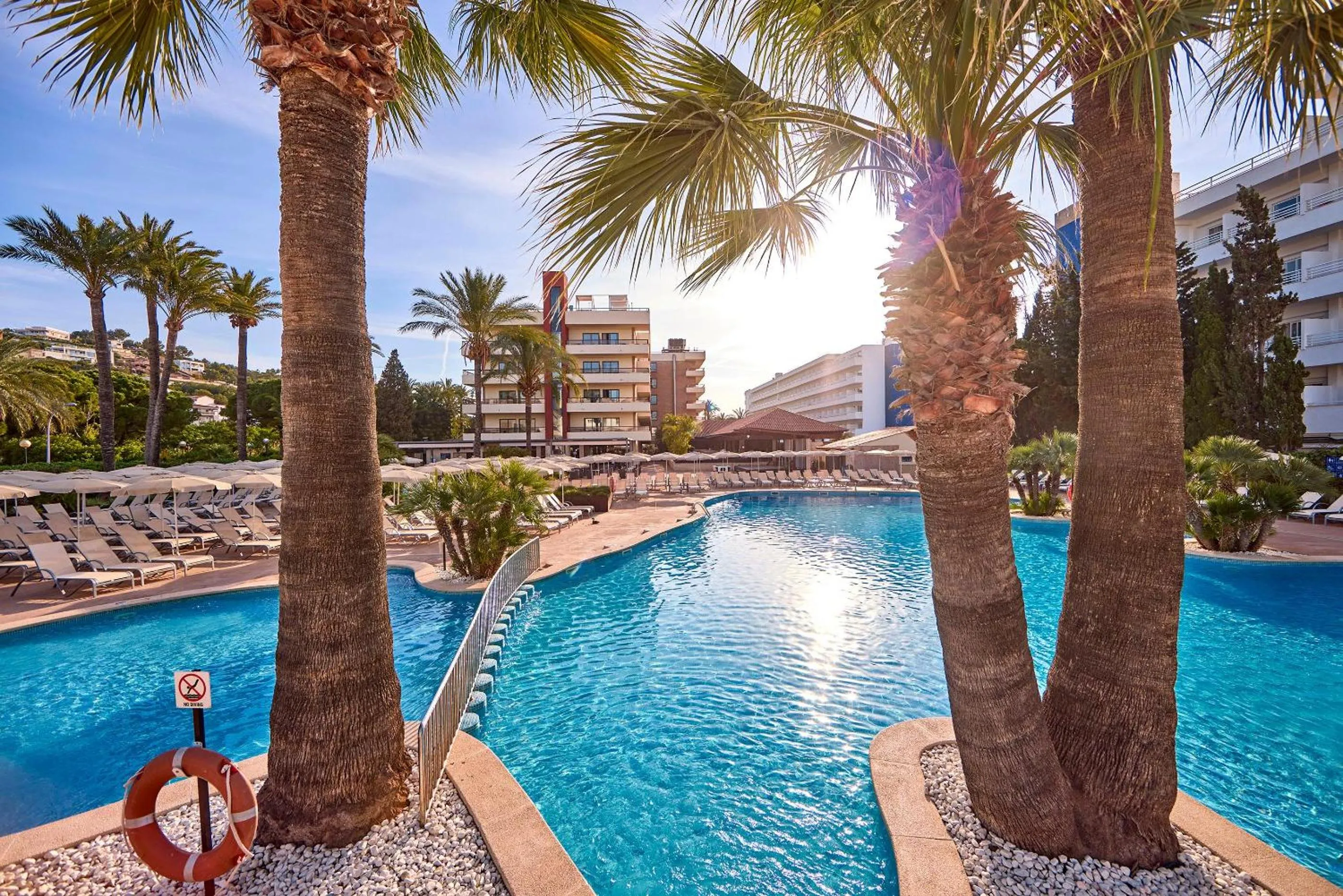 Swimming pool in Zafiro Rey Don Jaime