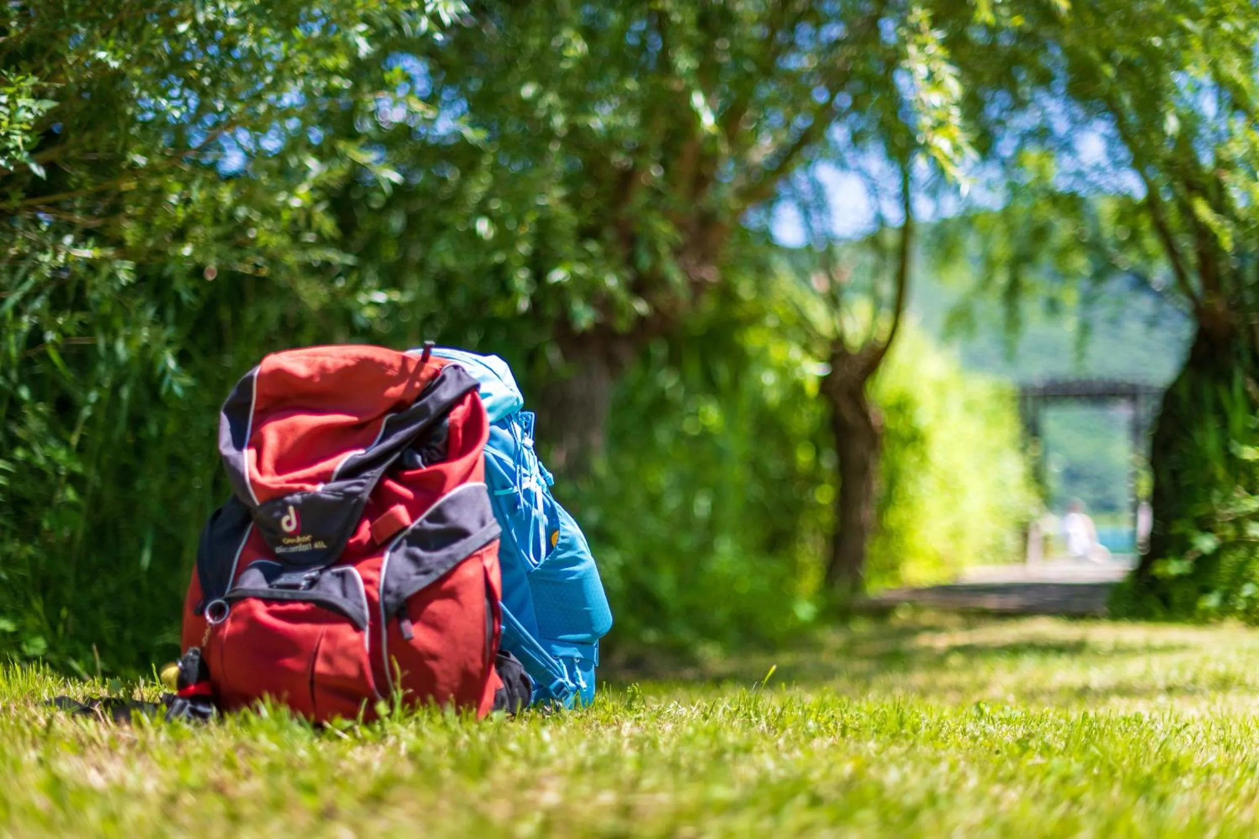 Natural landscape in Überbacherhof