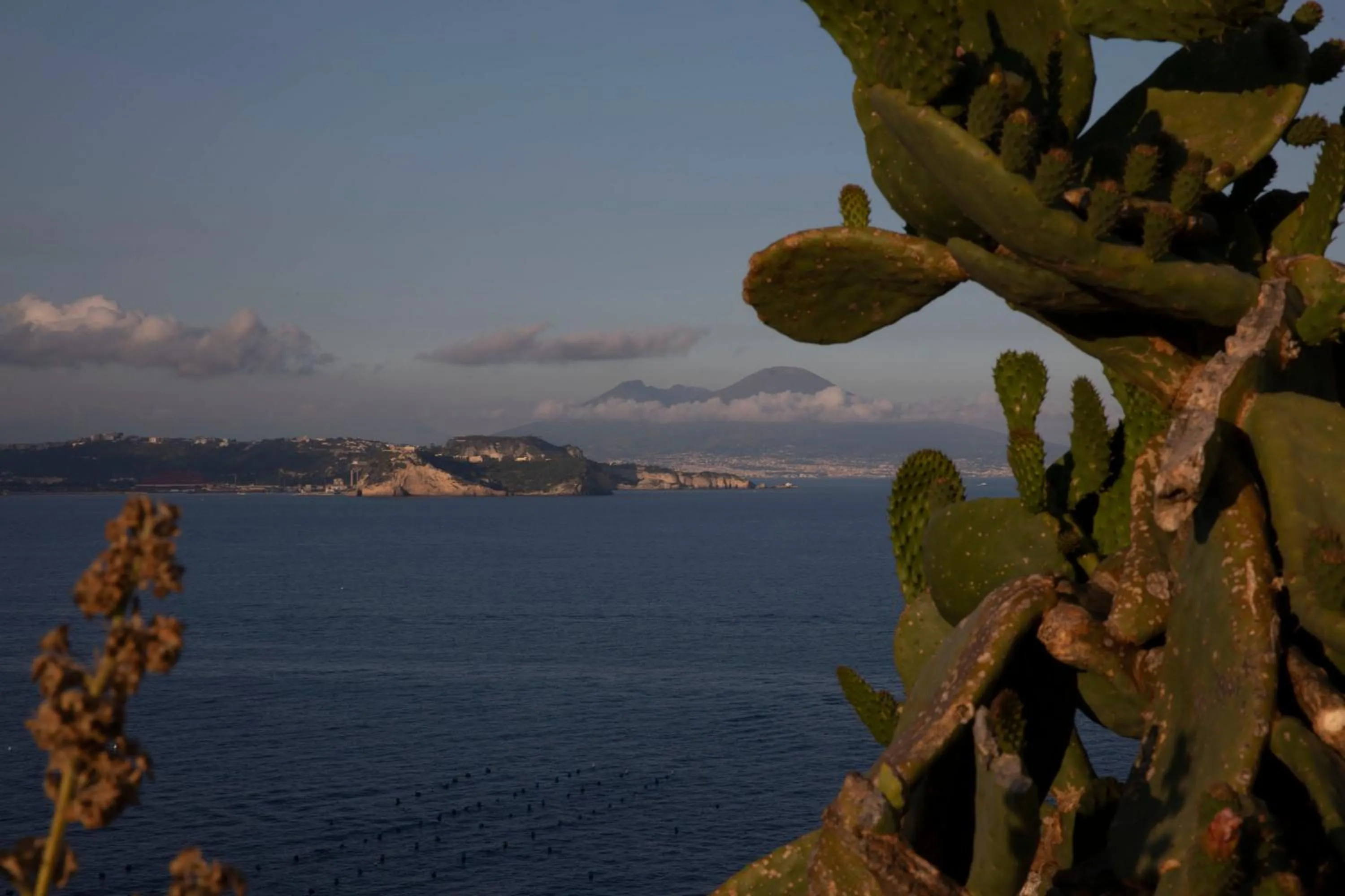 Sea view in Garibaldi 136
