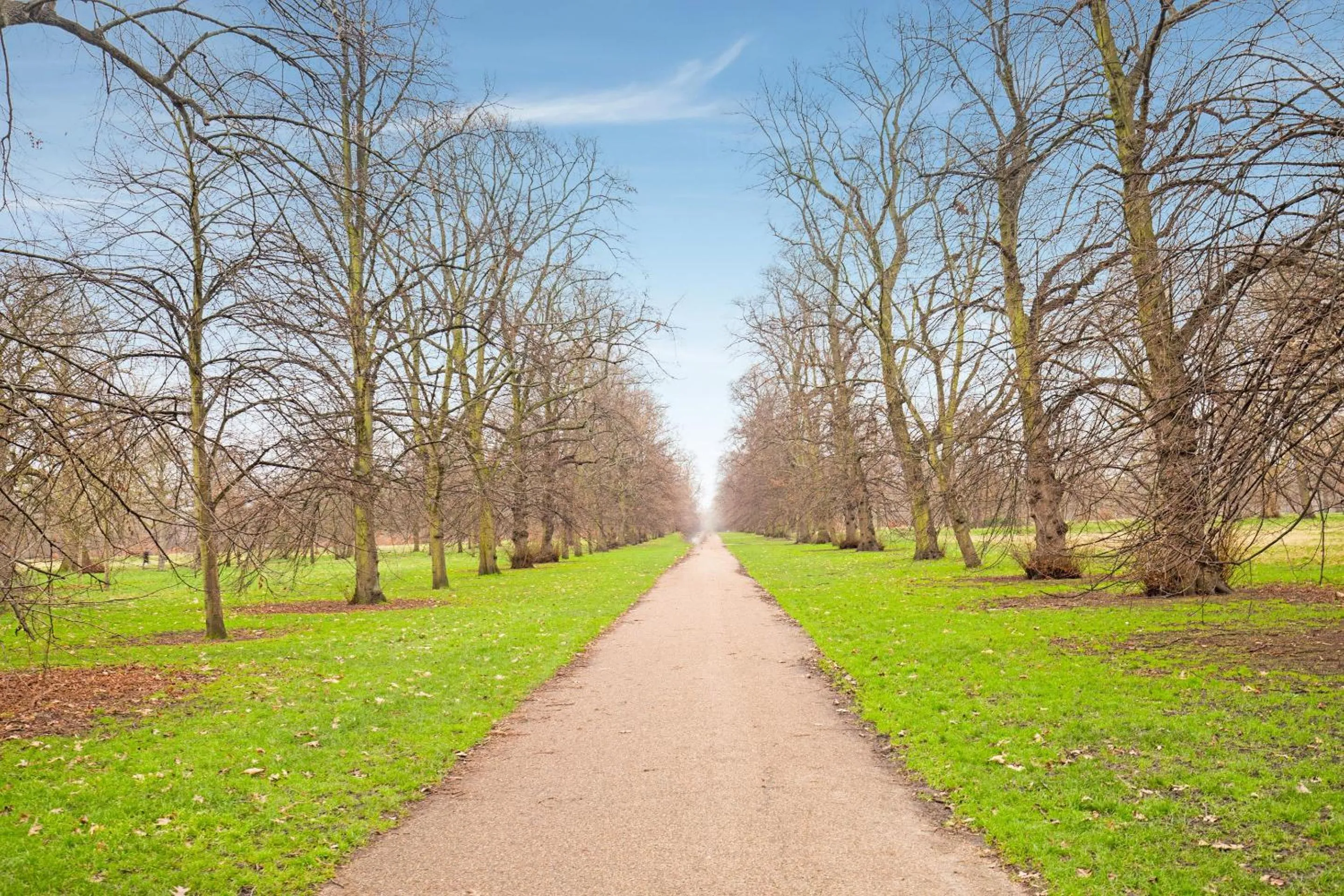 Garden in Townhouse Apollo, Hyde Park