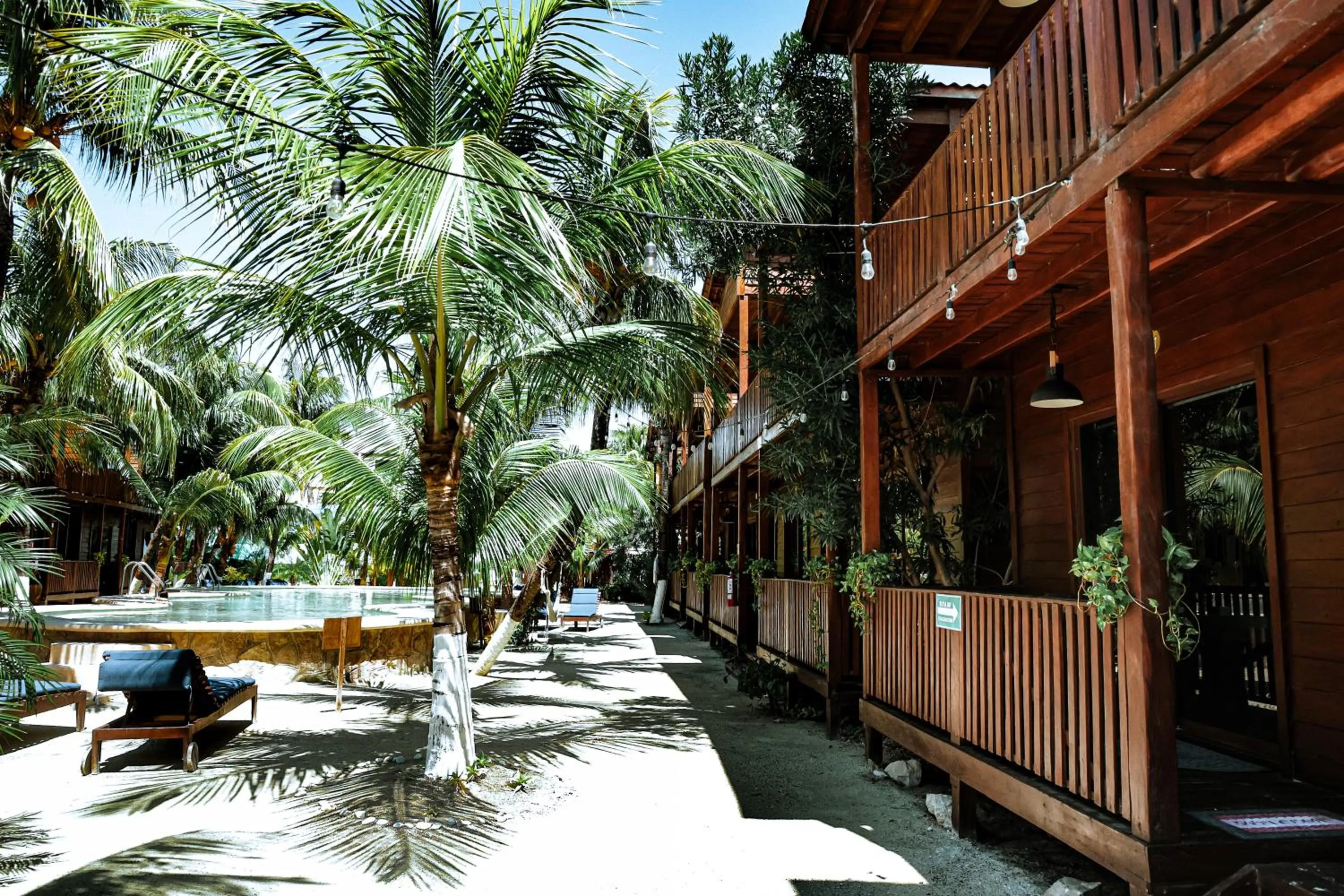 Garden view in Coconut by ÓOL Hotels