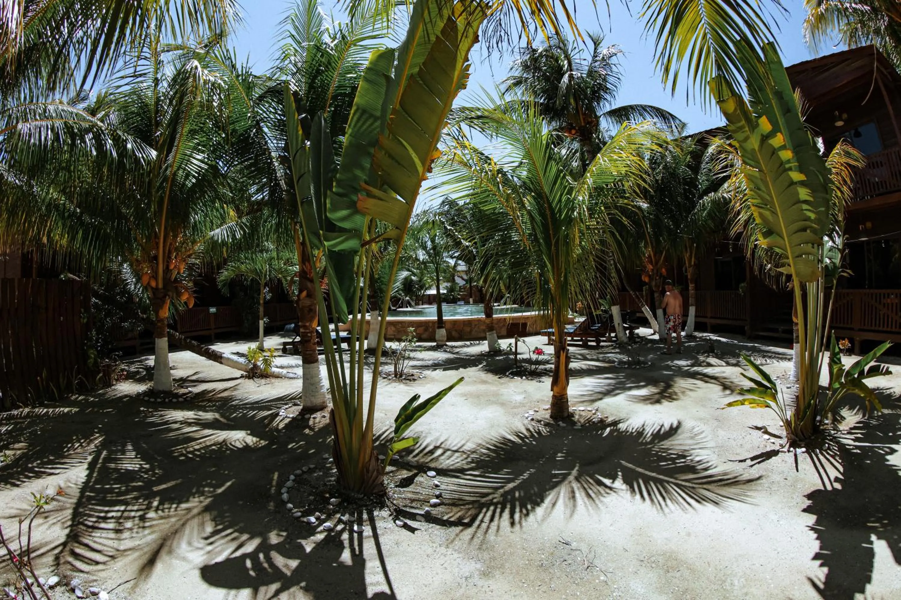 Swimming pool in Coconut by ÓOL Hotels