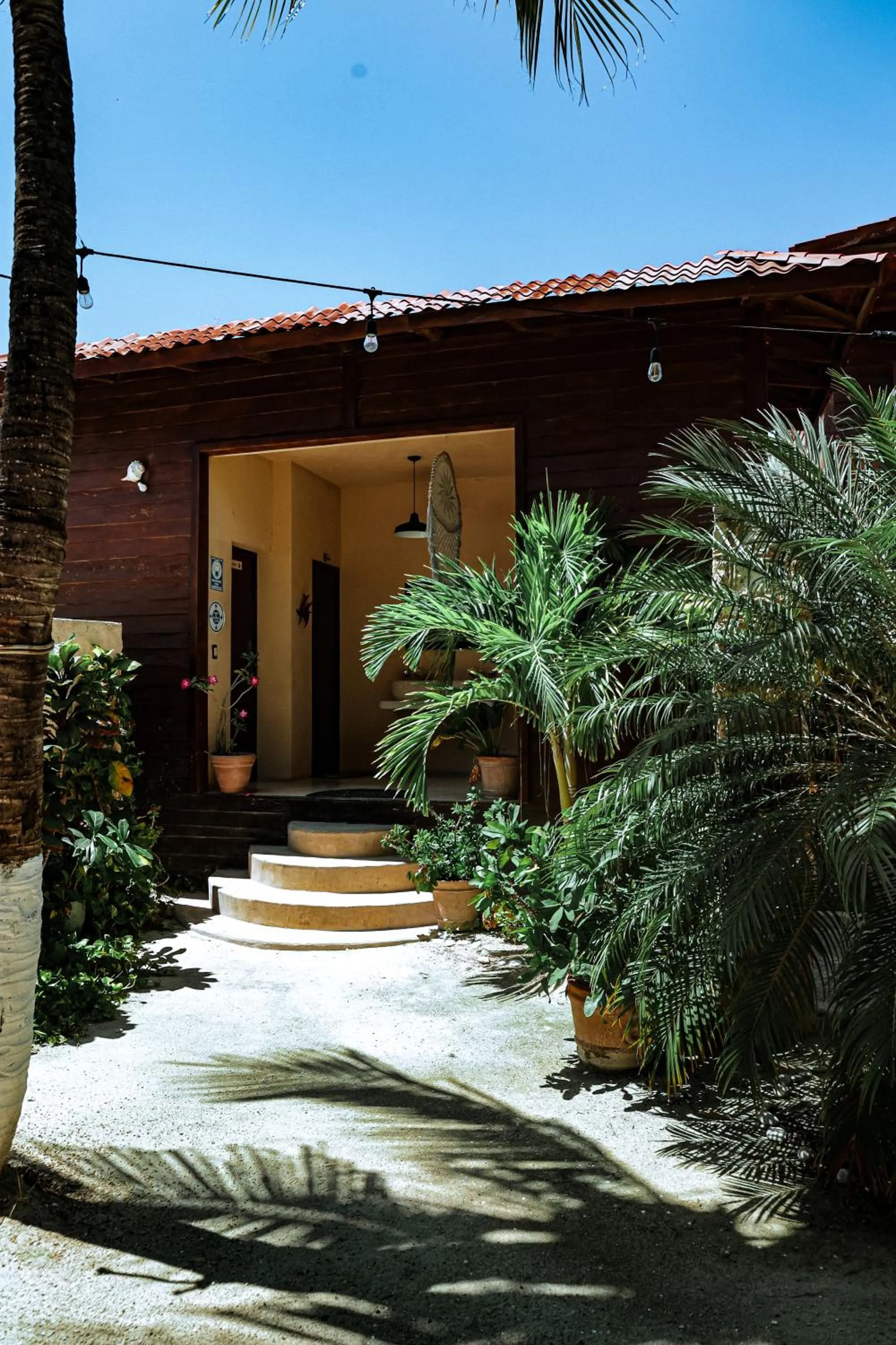 Property building in Coconut by ÓOL Hotels