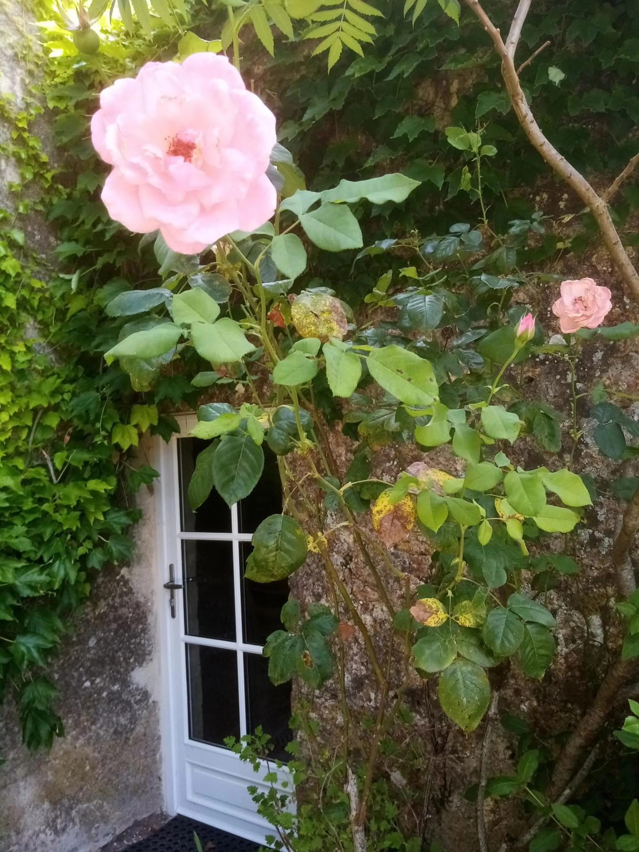 Other in Chambres d'Hôtes Domaine du Bouchon