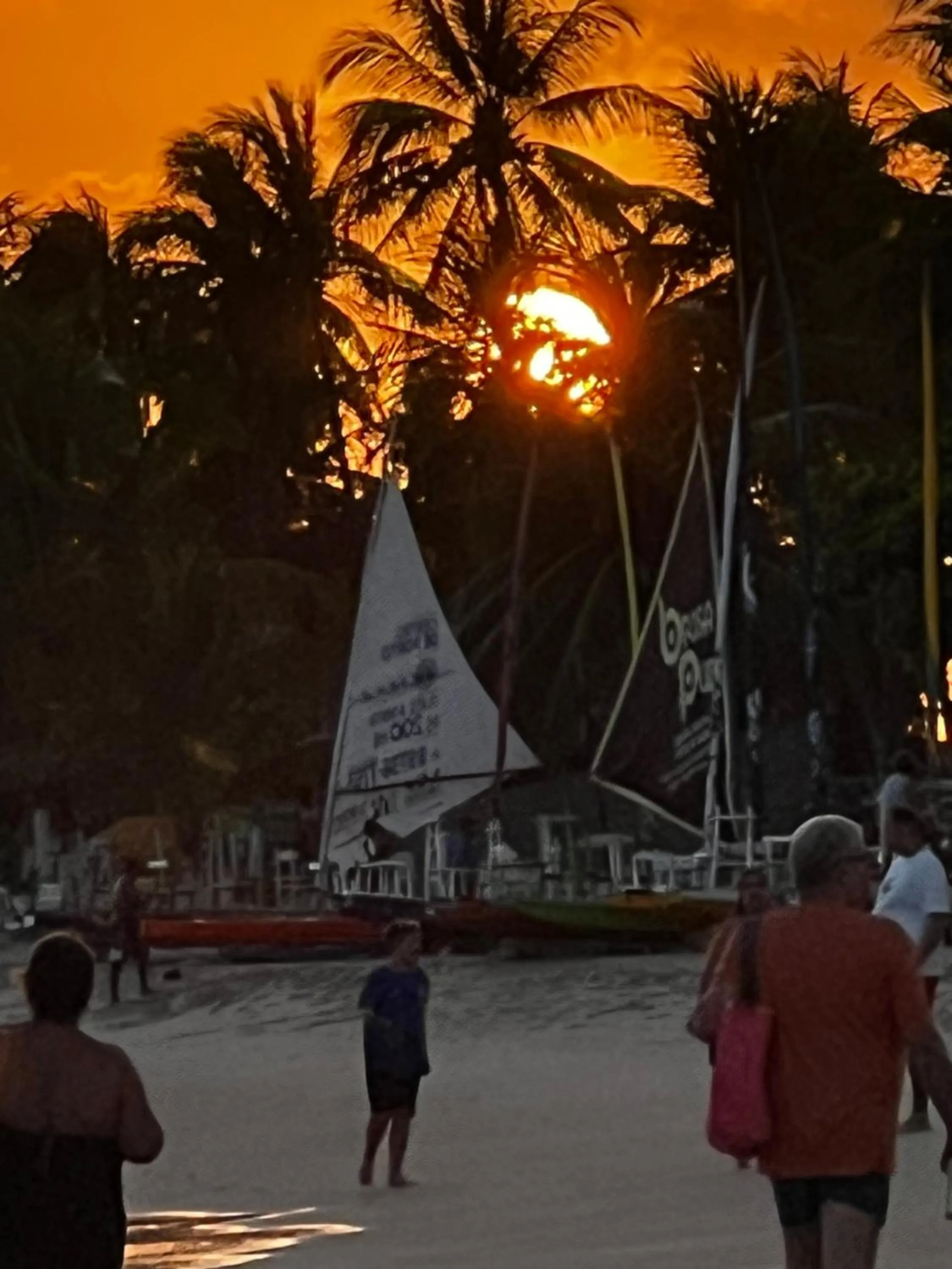 Beach in Pousada Flor de Maraca