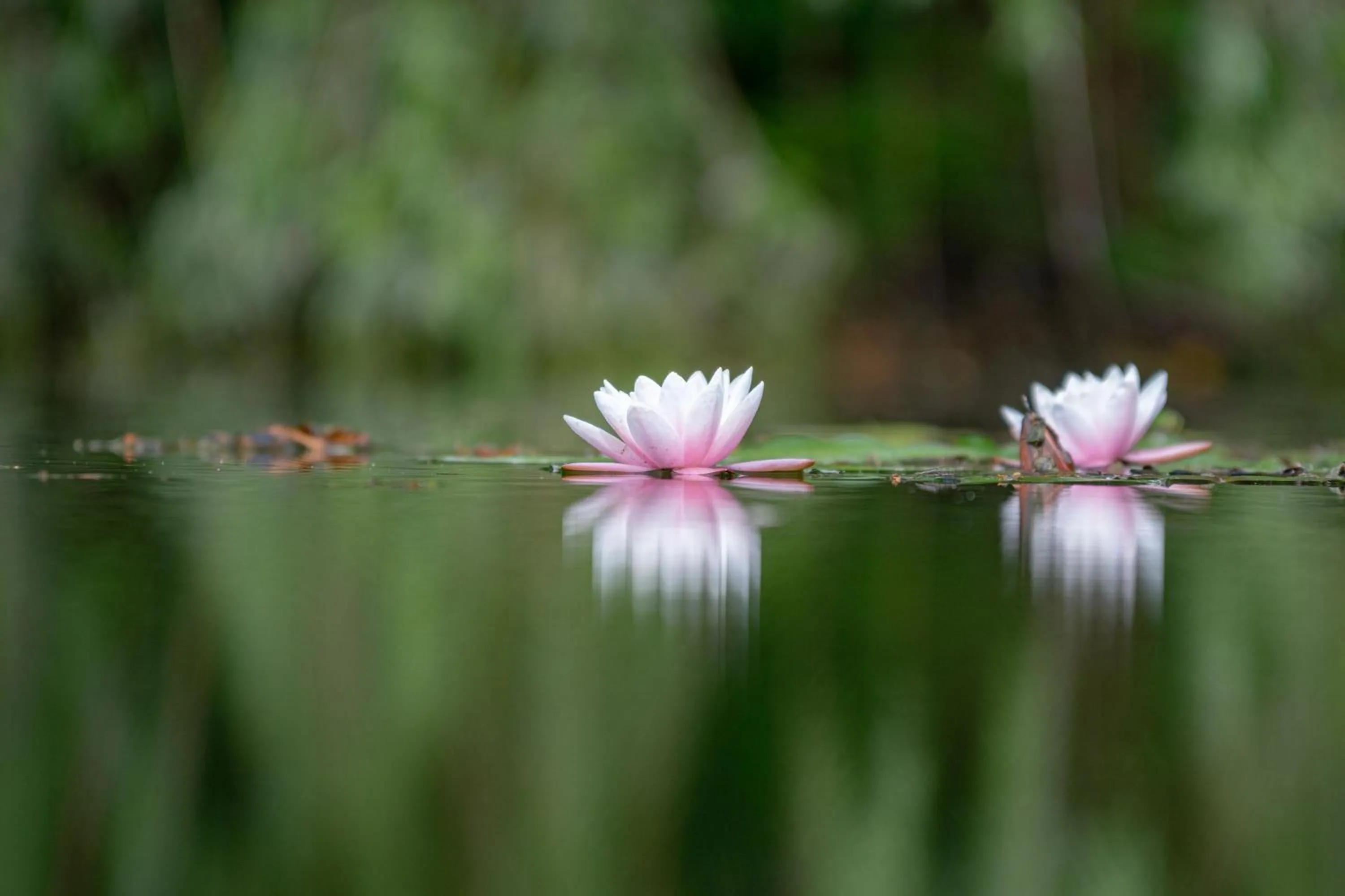 Activities in RESIDENCE Rive Droite