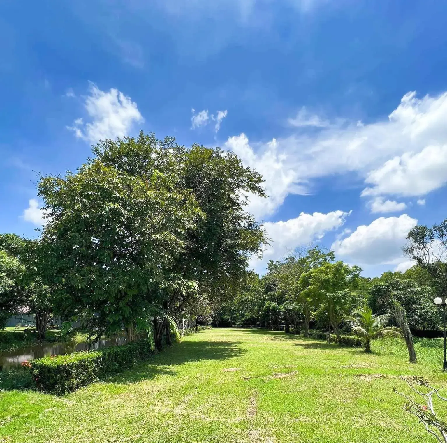 Garden view in Srikij GardenHome Resort Garden view in Srikij GardenHome Resort