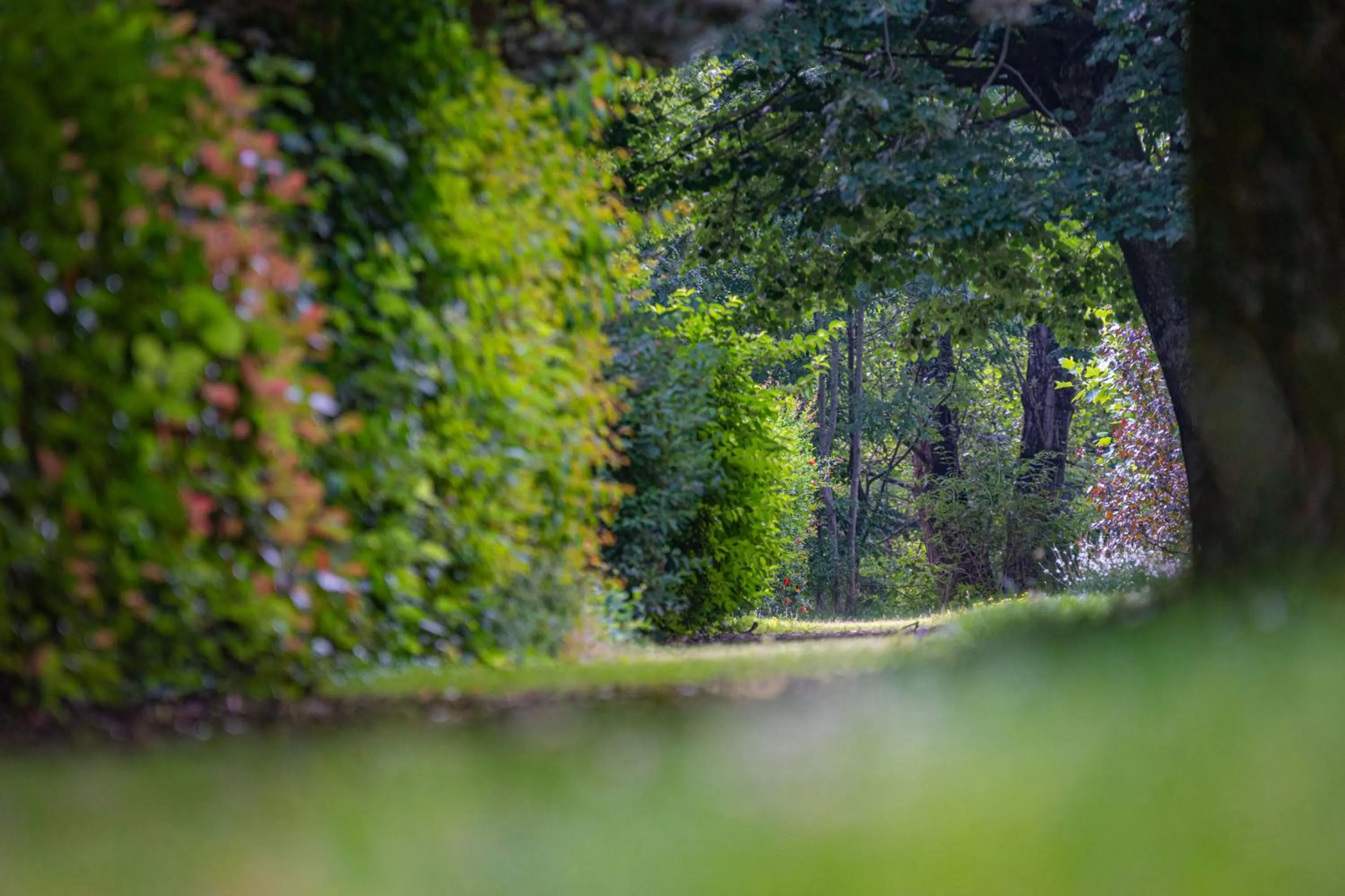 Activities in Residence RADIANA