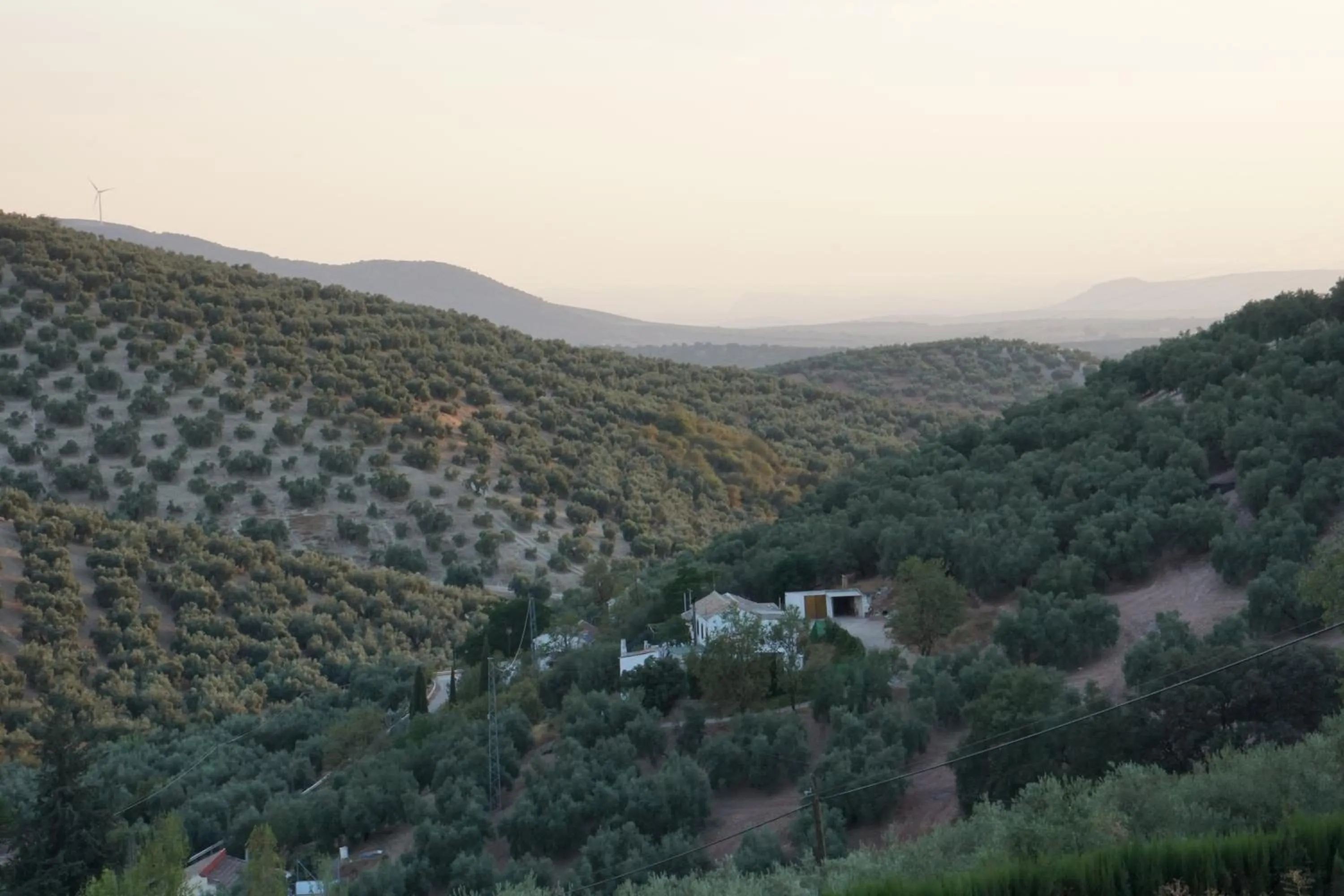 Mountain view in Casa Pura Vida
