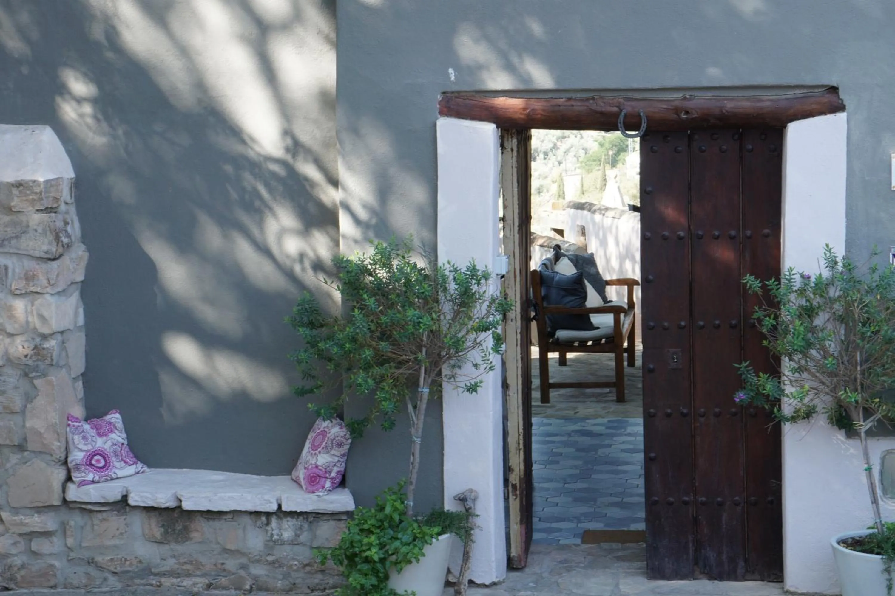 Patio in Casa Pura Vida