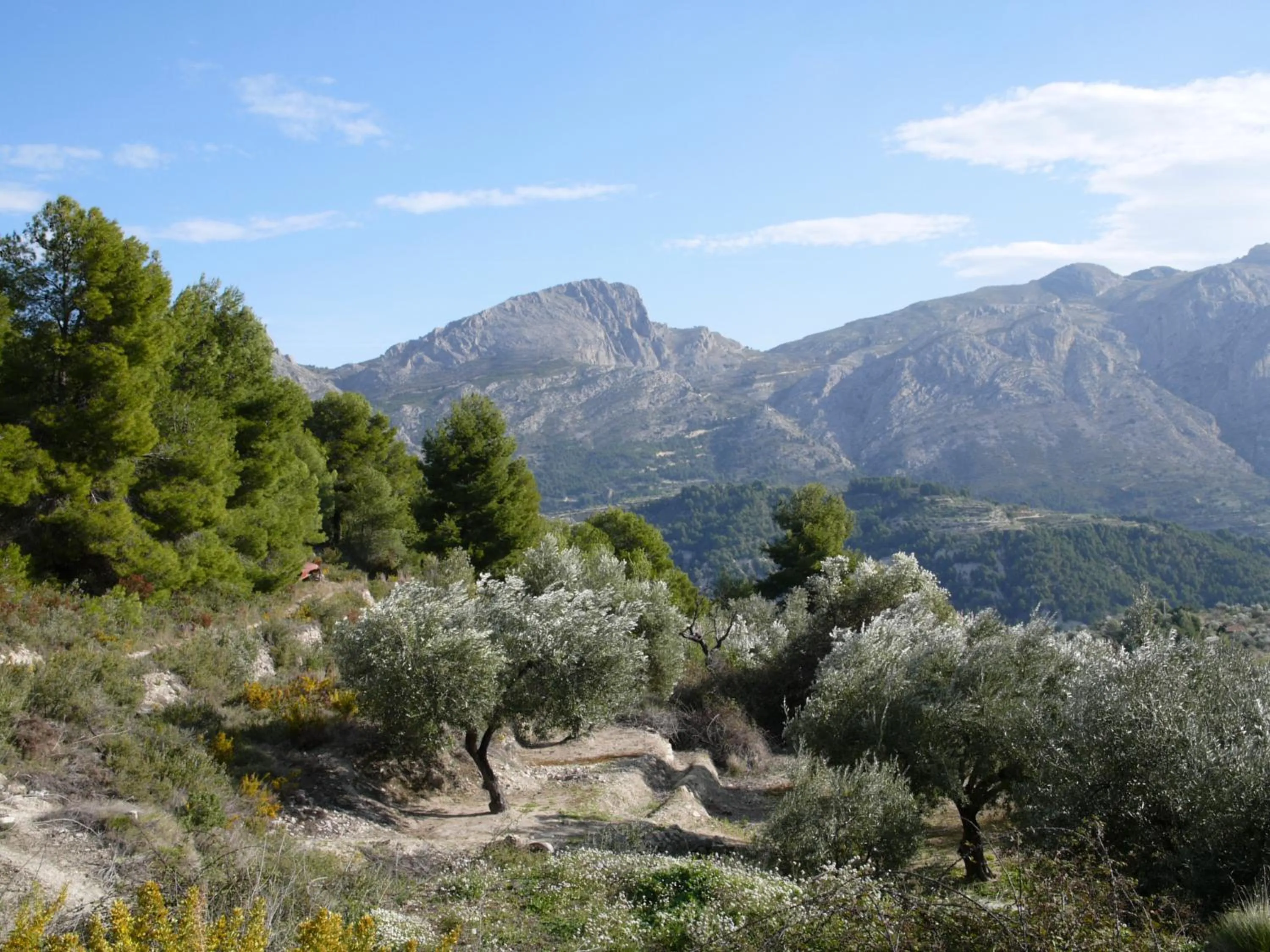 Natural landscape in Nasilvana Hotel & Spa Adults Only