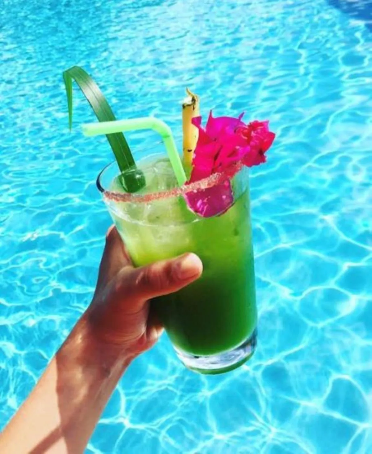 Drinks in Le Rayon Vert - Hôtel & Restaurant VUE SUR MER