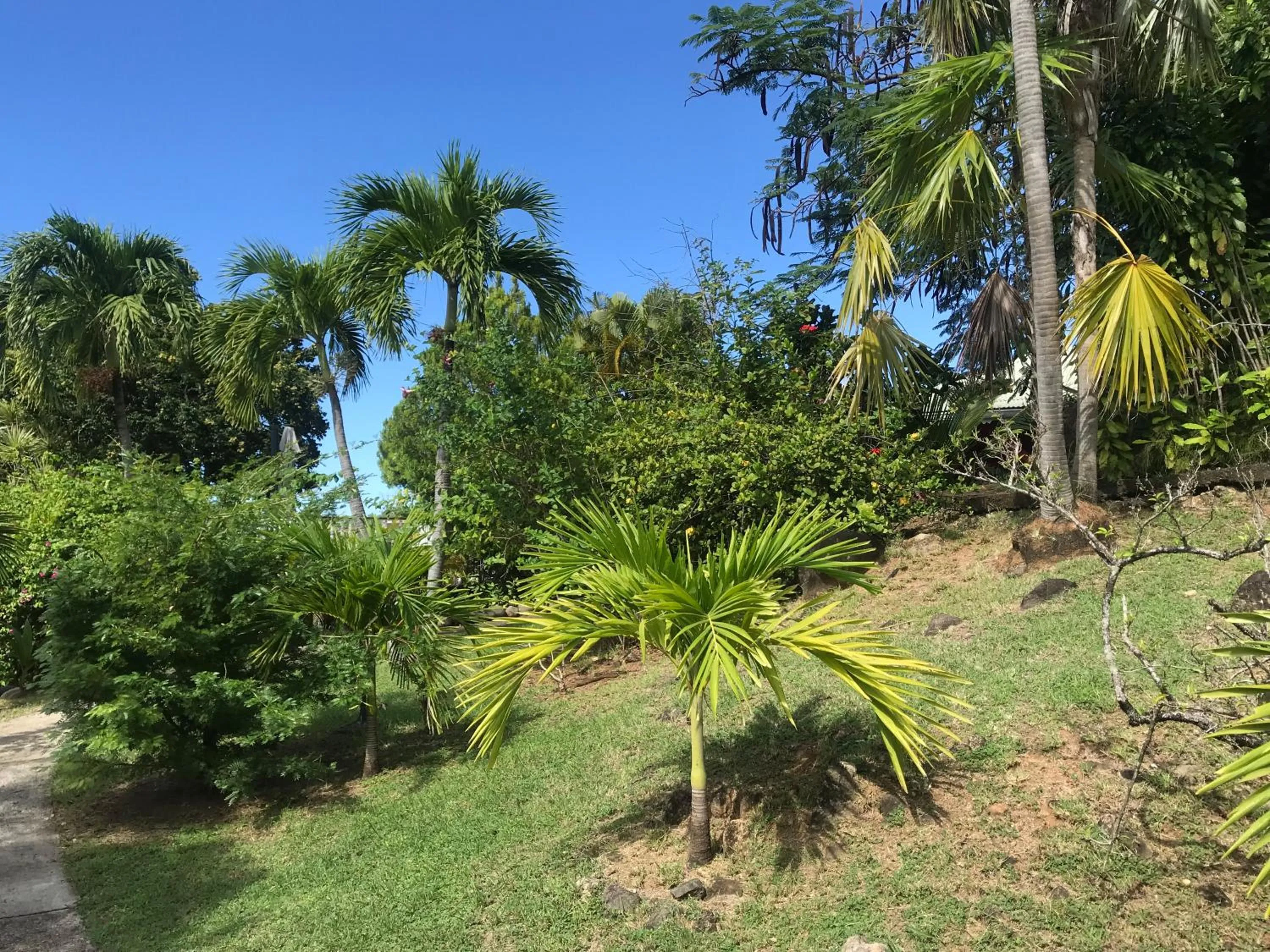 Garden in Le Rayon Vert - Hôtel & Restaurant VUE SUR MER