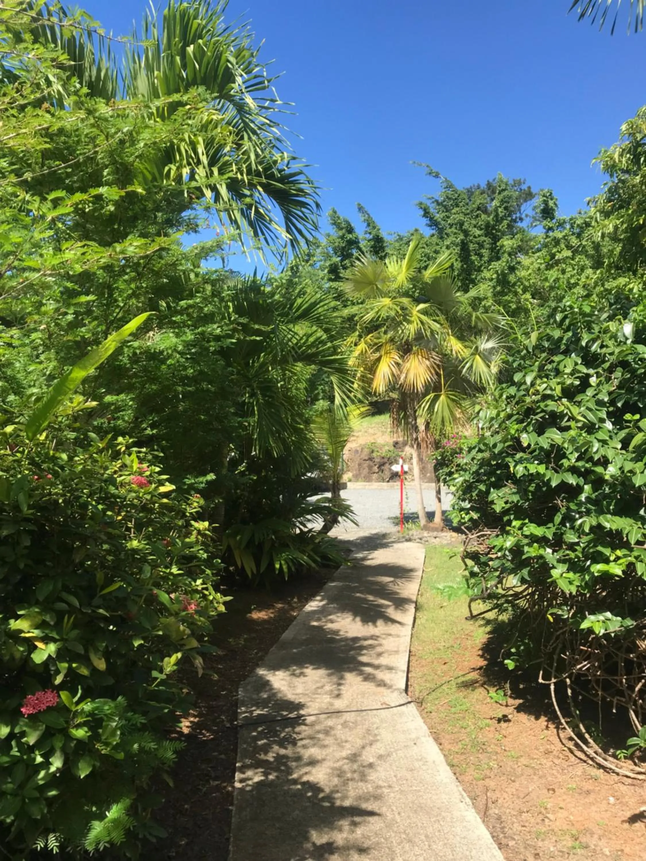 Garden in Le Rayon Vert - Hôtel & Restaurant VUE SUR MER