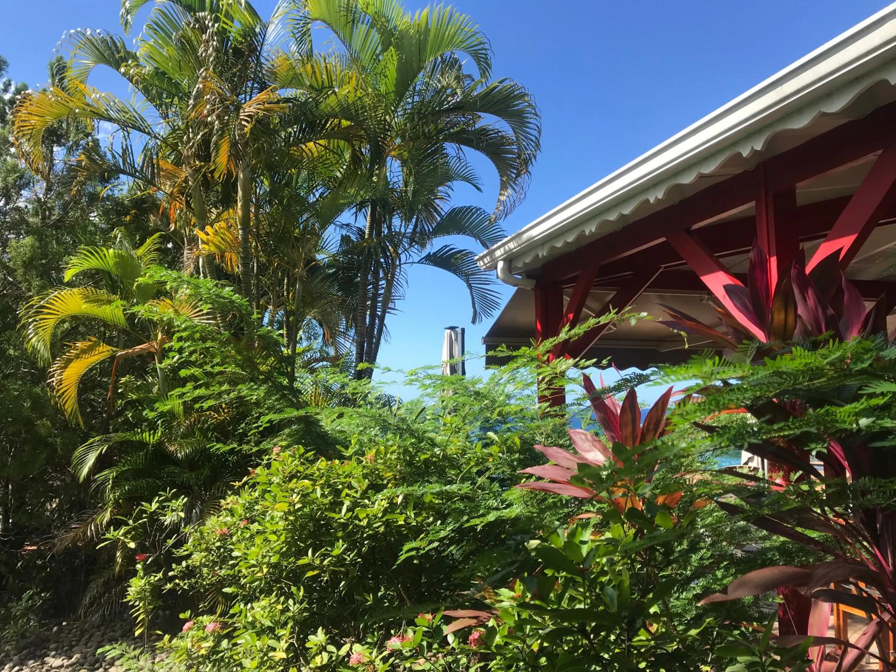 Fishing in Le Rayon Vert - Hôtel & Restaurant VUE SUR MER