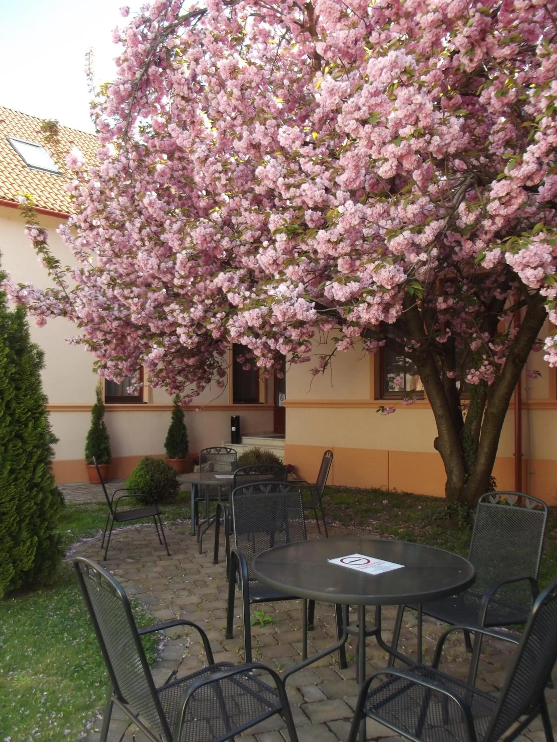 Patio in Pannon Hotel Bejelentkezés 20 óráig, Check-in until 20 o'clock, Einchecken bis 20 Uhr