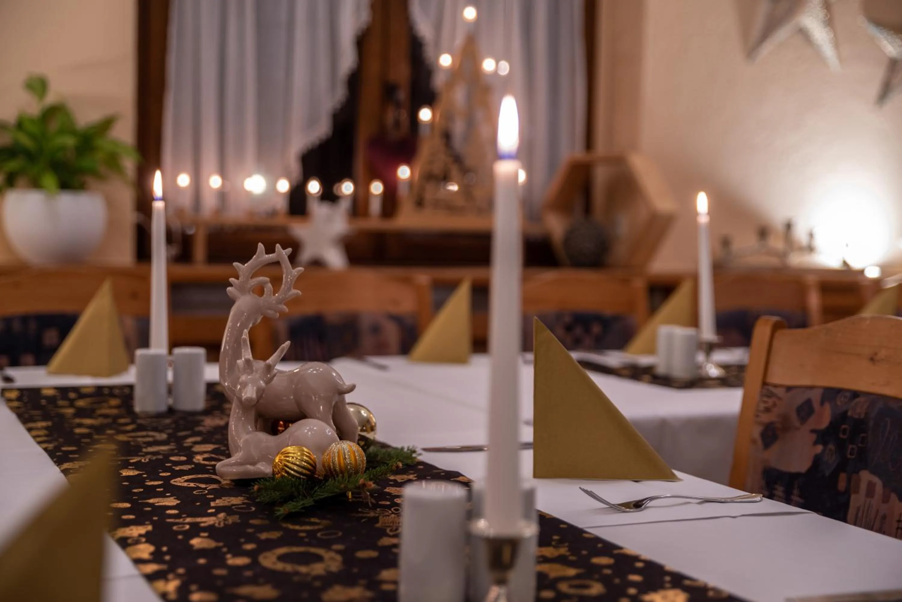 Restaurant/places to eat in Hotel Vierenstraße