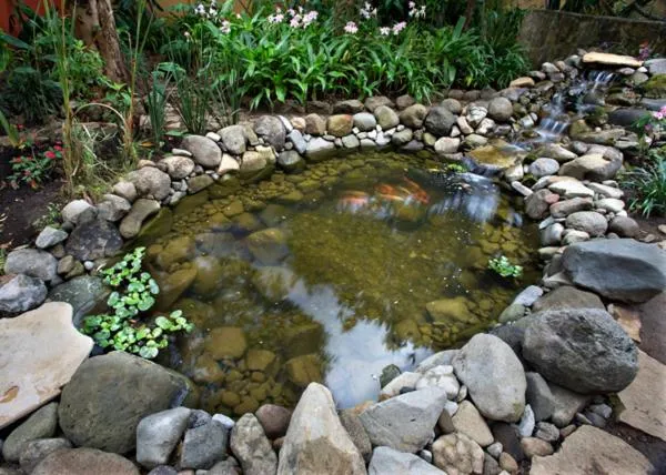 Other in Guayaba Inn Boutique Hotel